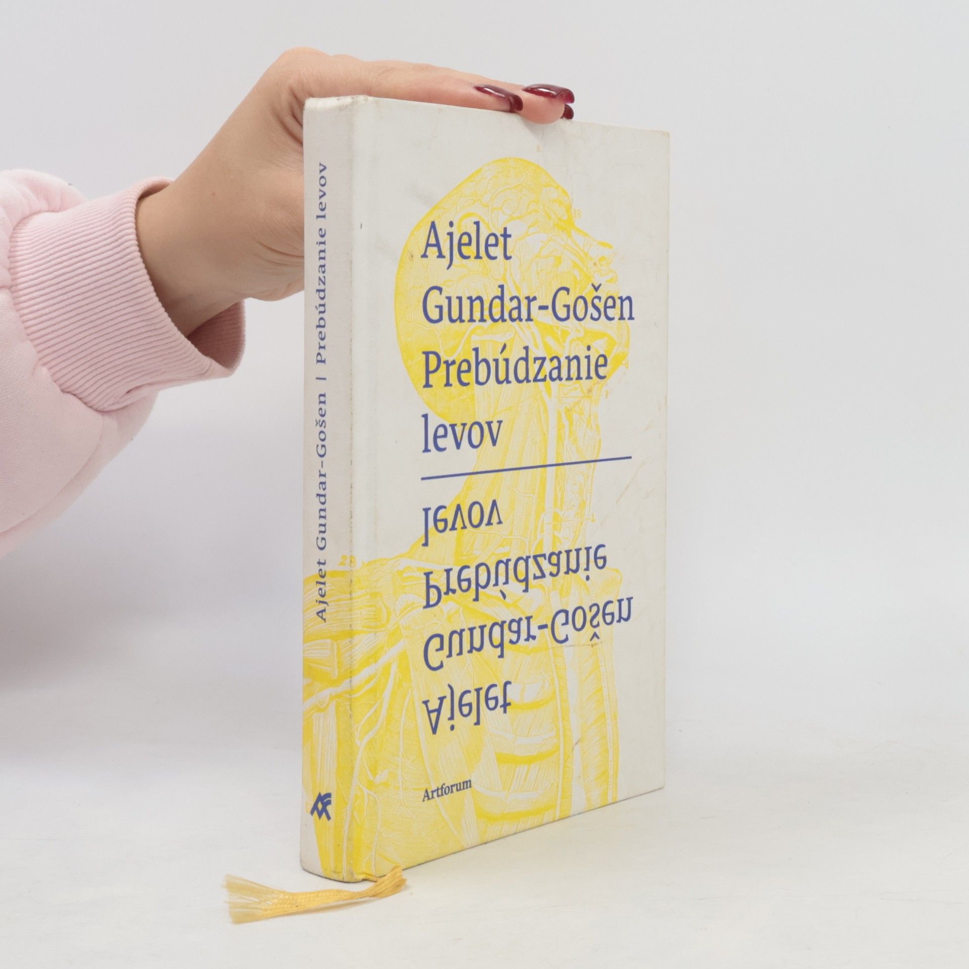Ayelet Gundar-Goshen Prebúdzanie levov