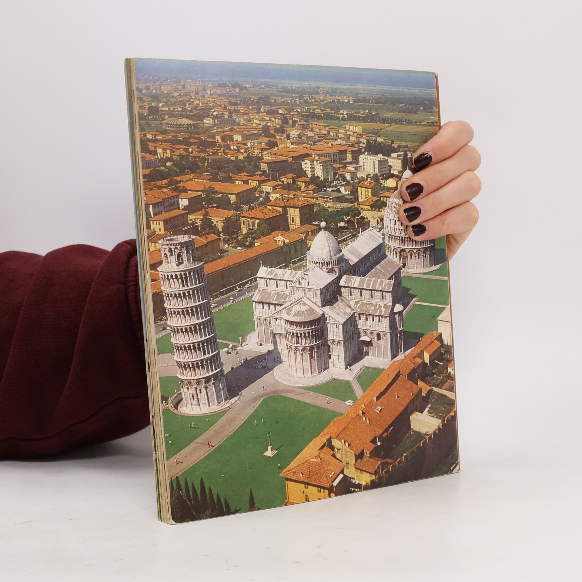 Autorenkollektiv Ganz Pisa