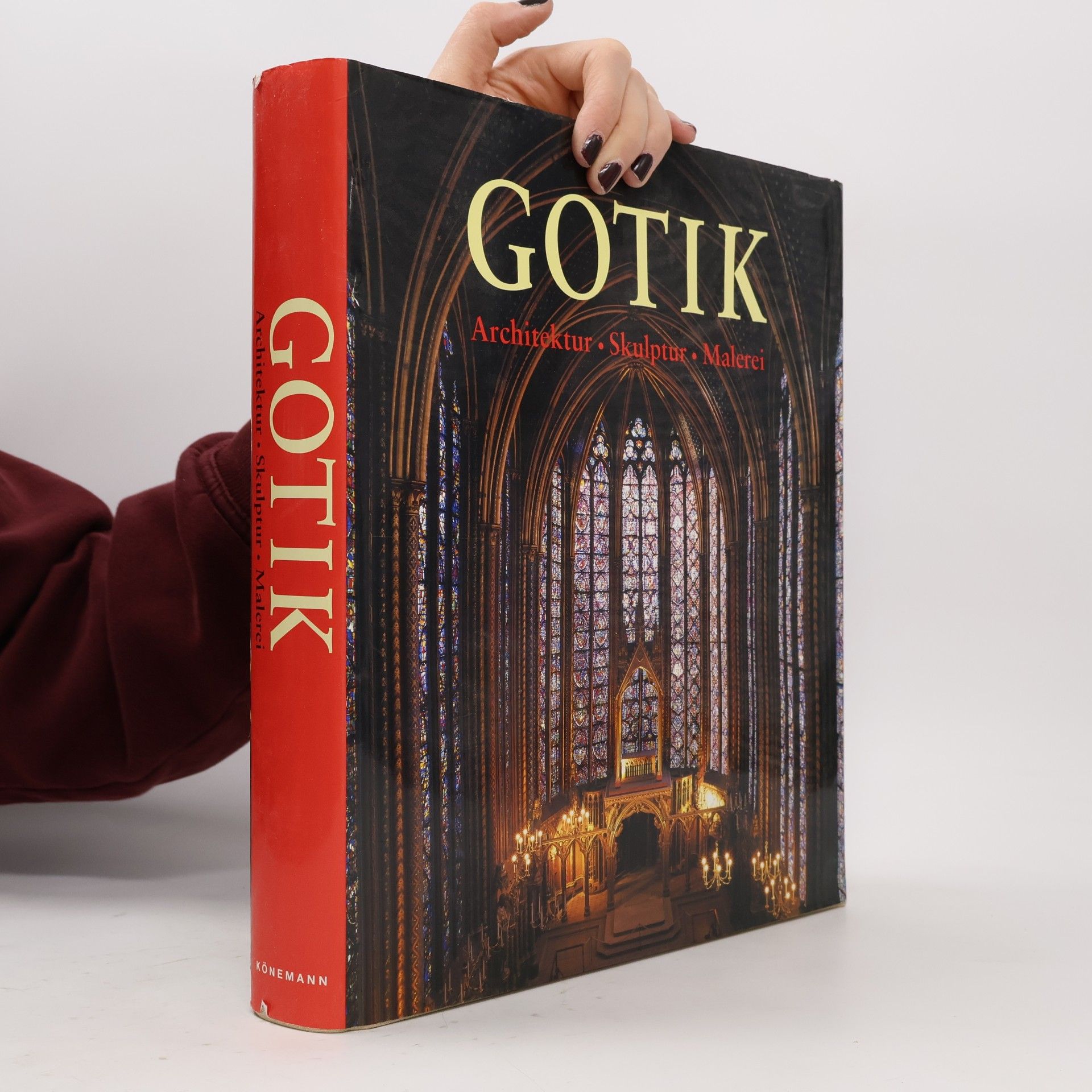 Die Kunst der Gotik