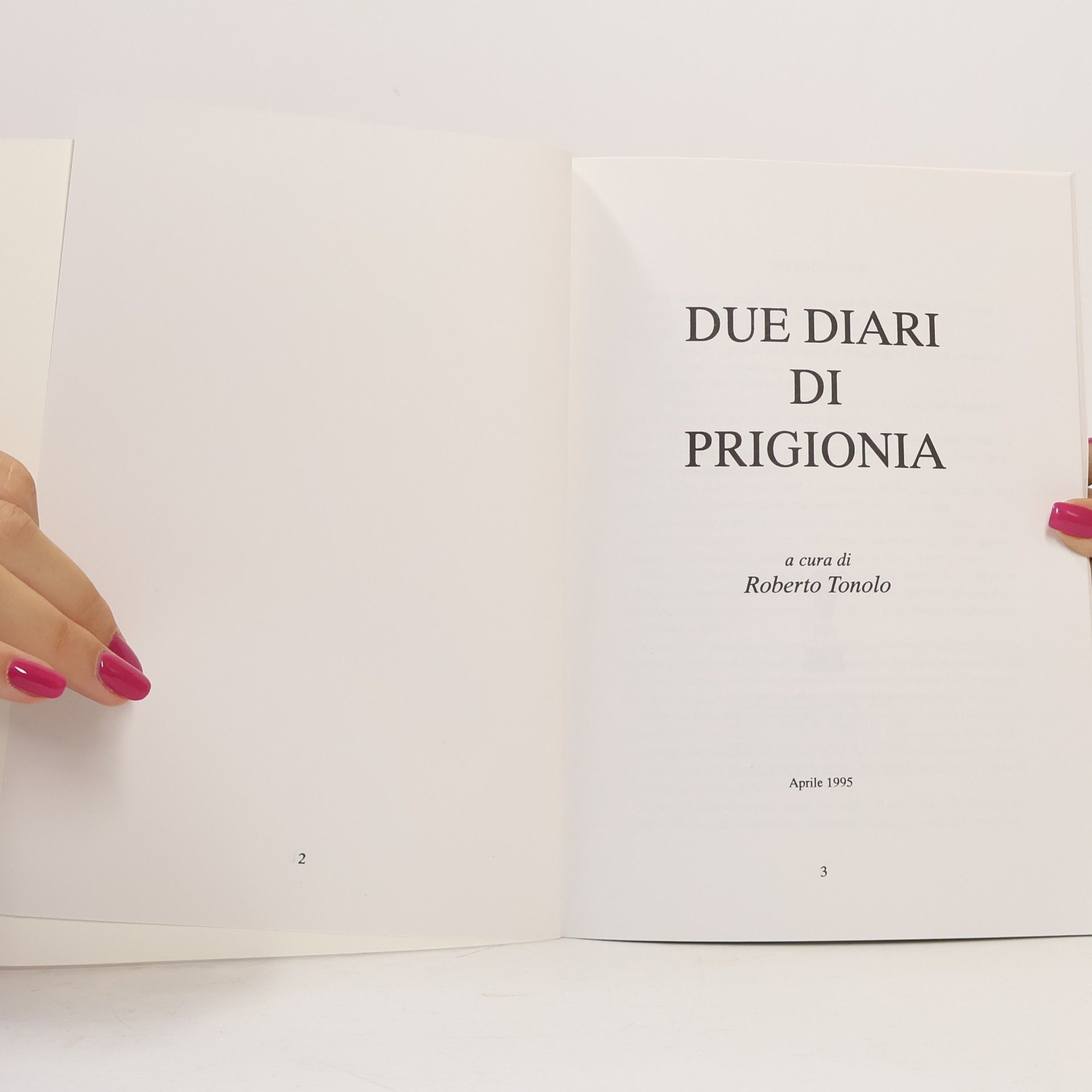 Autorenkollektiv DUE DIARI DI PRIGIONIA