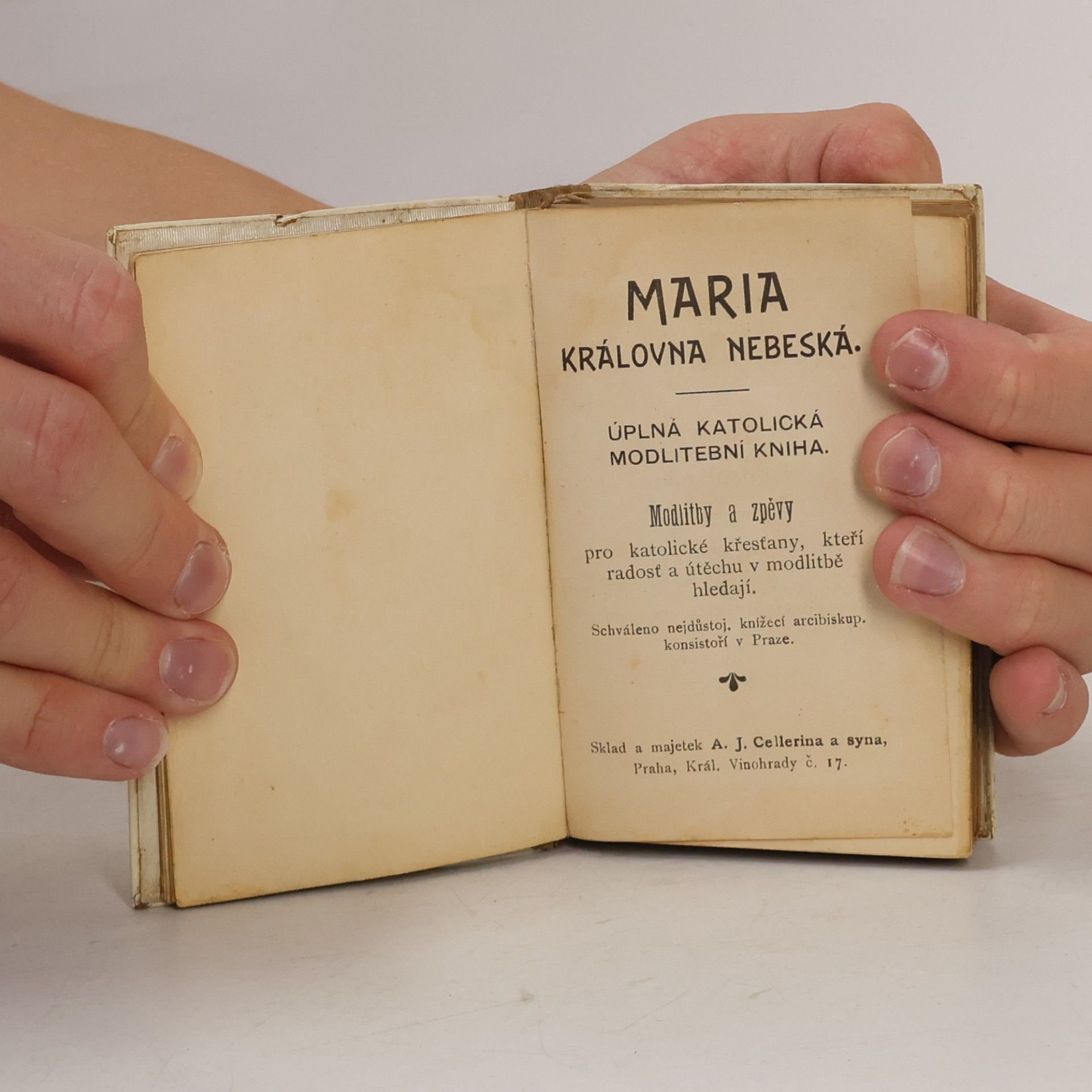 Kolektiv autorů MARIA KRÁLOVNA NEBESKÁ. ÚPLNÁ KATOLICKÁ MODLITEBNÍ KNIHA. Modlitby a zpěvy pro katolické křesťany, kteří radosť a útěchu v modlitbě hledají.