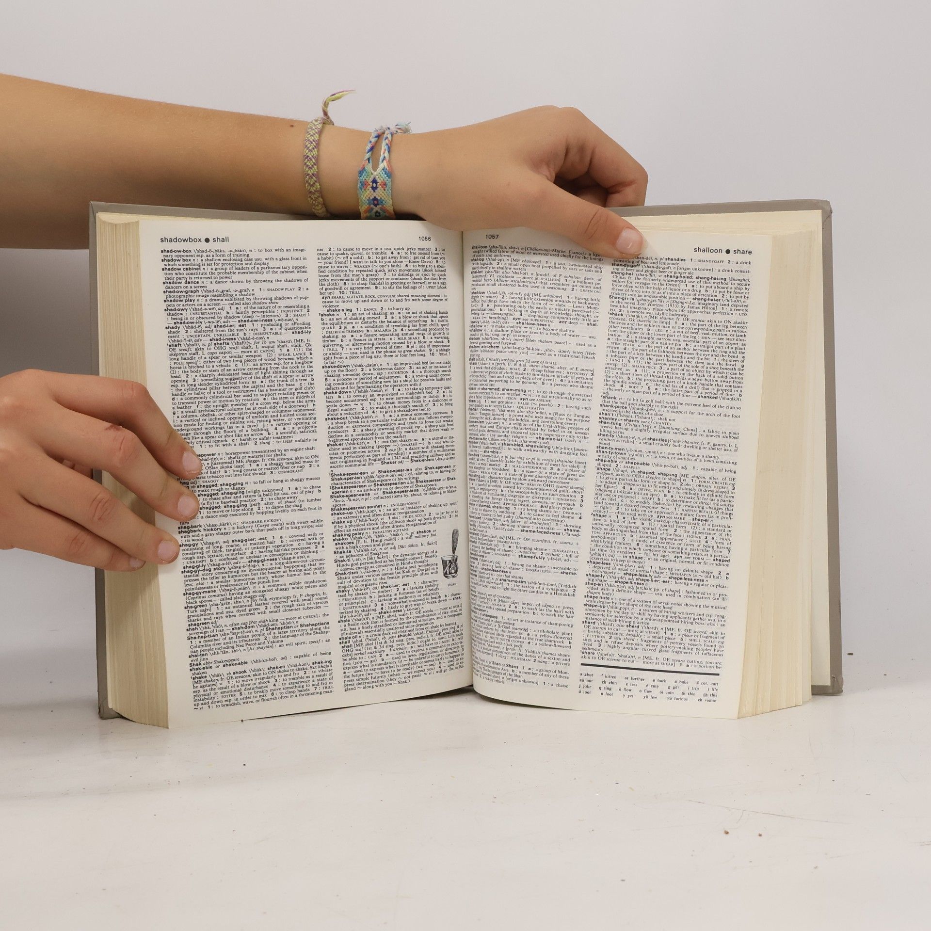 Autorenkollektiv Webster's new collegiate dictionary