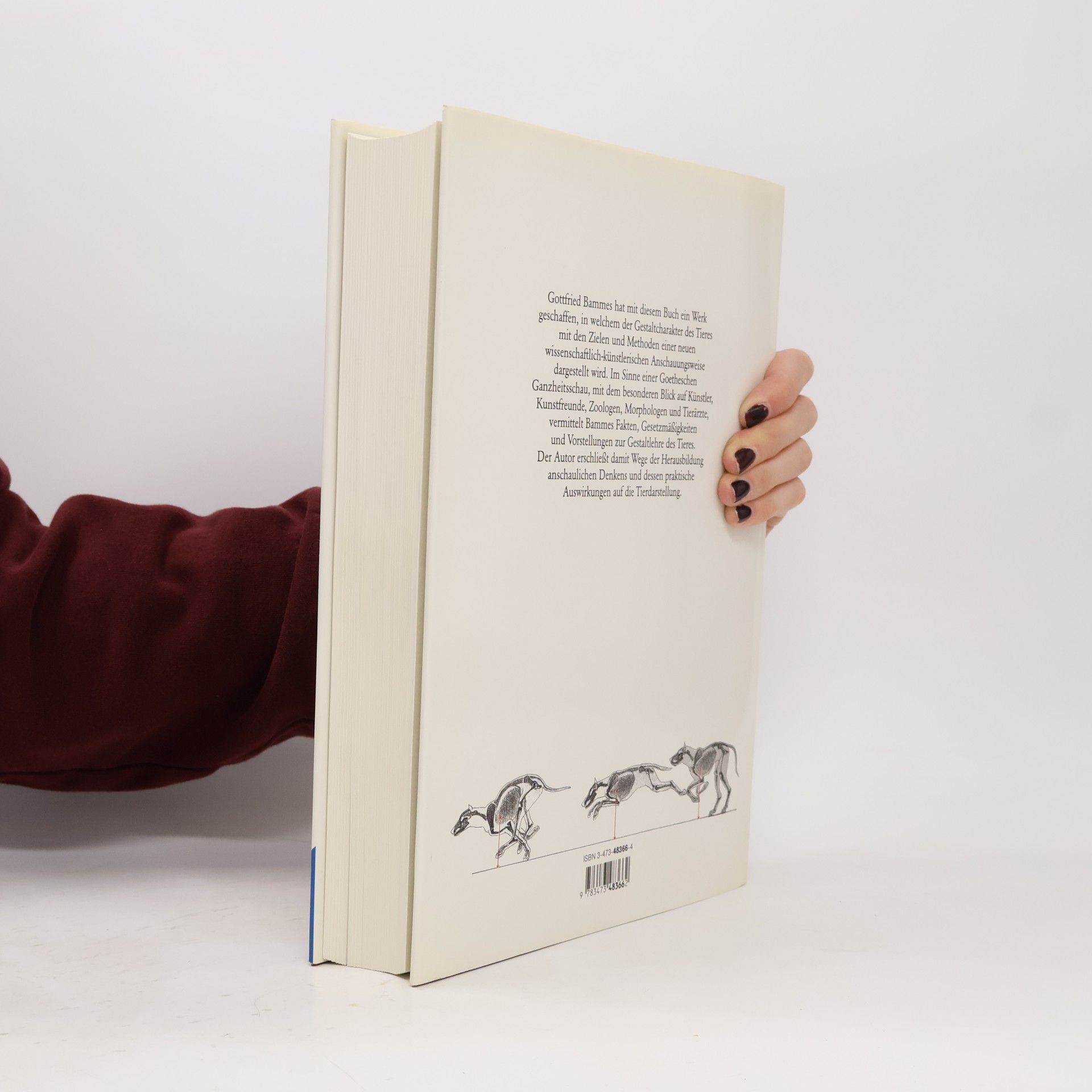 Gottfried Bammes Grosse Tieranatomie: Gestalt, Geschichte, Kunst