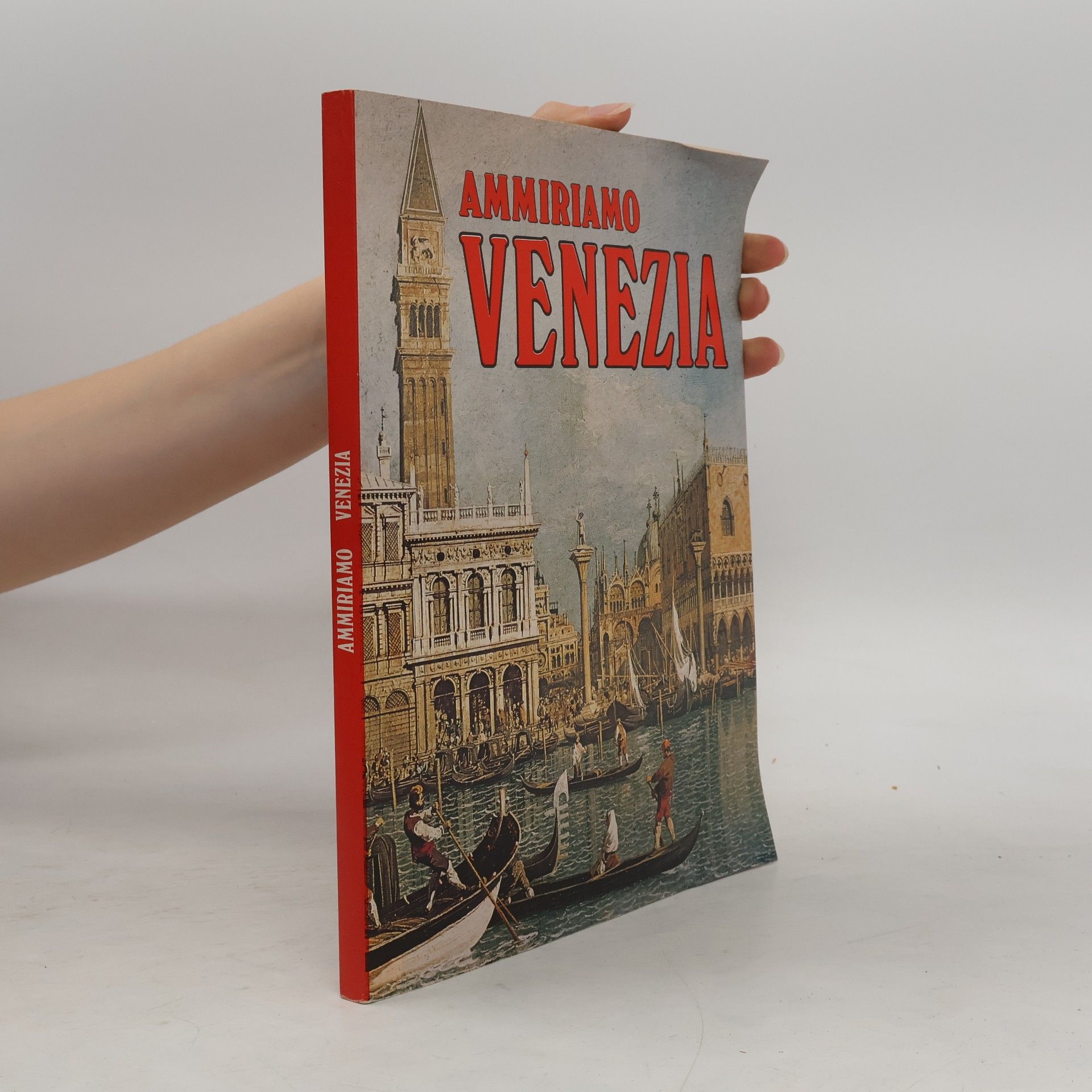 Autorenkollektiv Ammiriamo Venezia