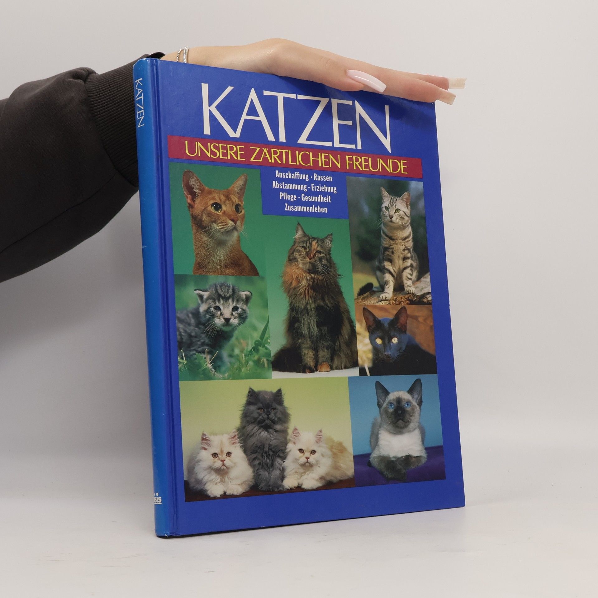 Antje Breuer Katzen. Unsere zärtlichen Freunde
