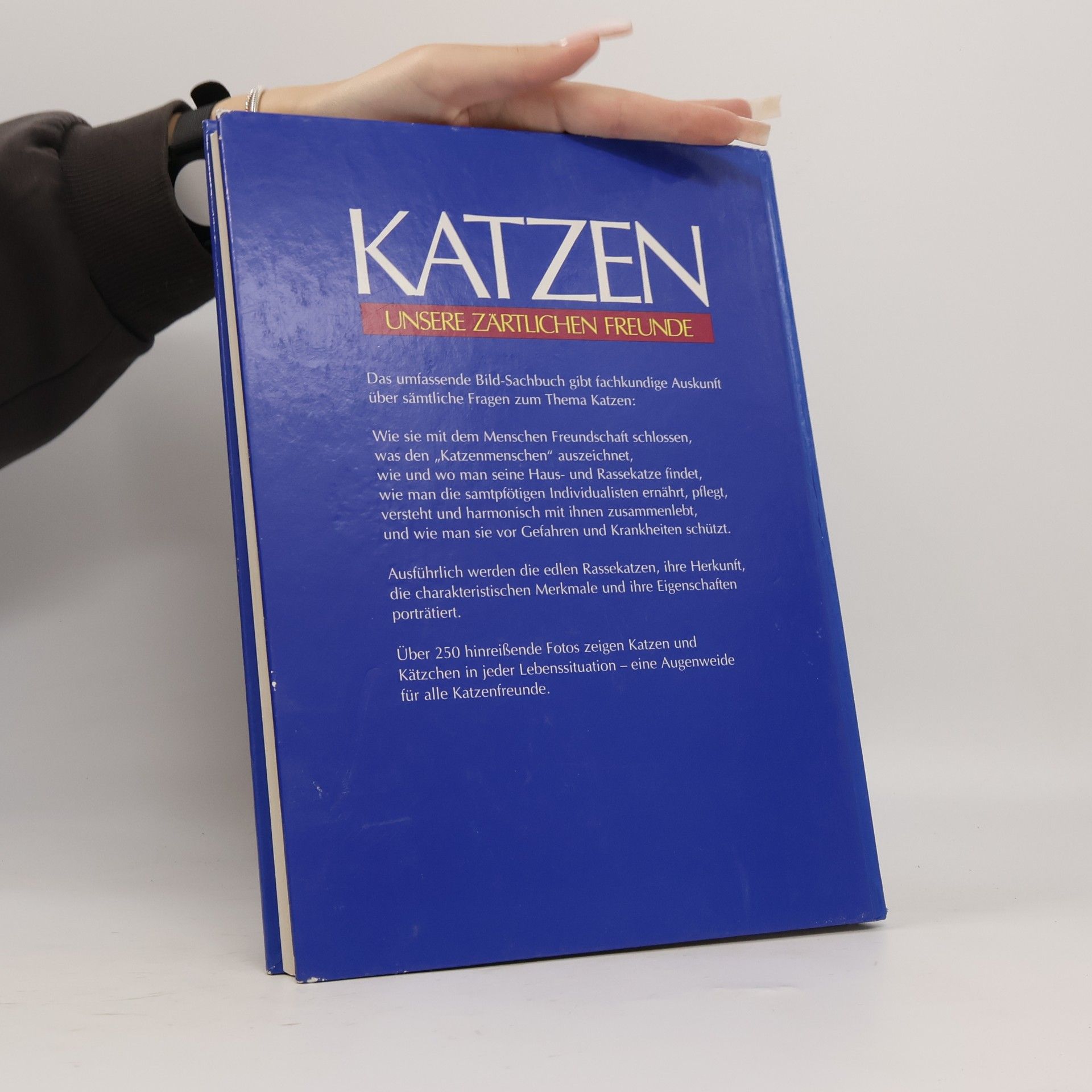 Antje Breuer Katzen. Unsere zärtlichen Freunde