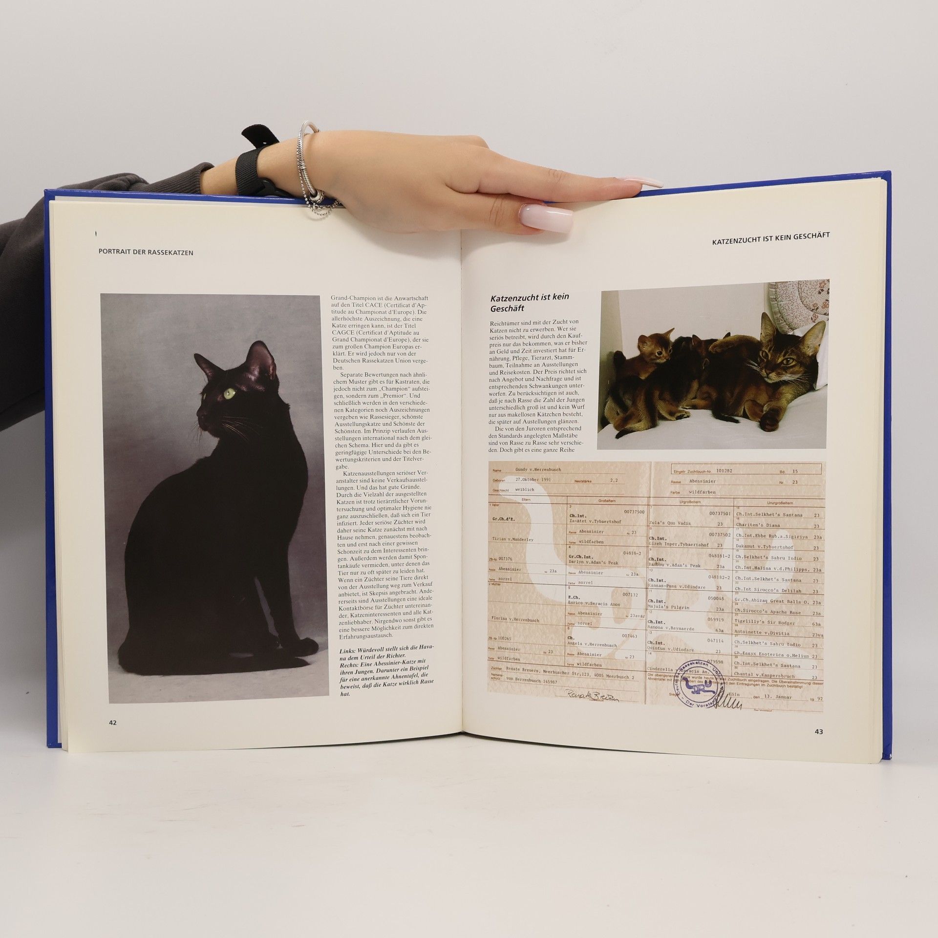 Antje Breuer Katzen. Unsere zärtlichen Freunde
