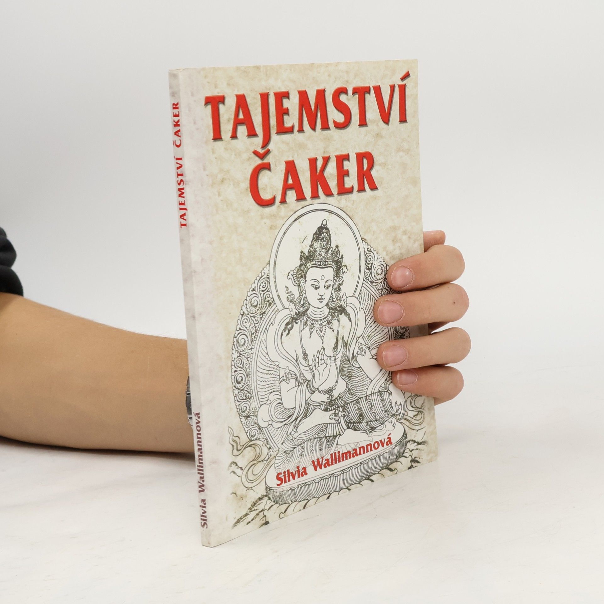 Silvia Wallimann Tajemství čaker : přepólování od hmotného k duchovnímu