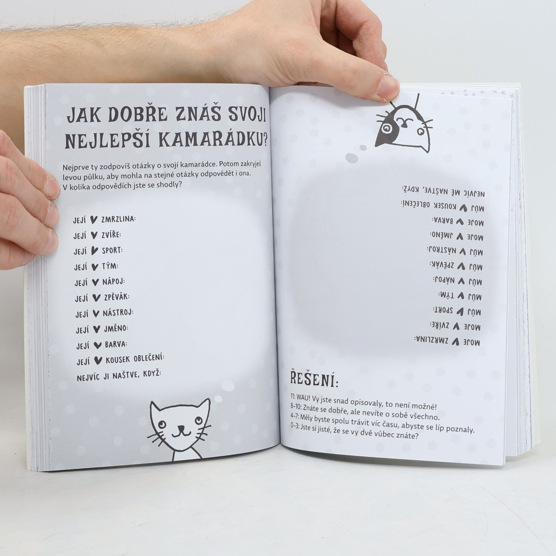 Silke Schimdt Můj tvořivý deník