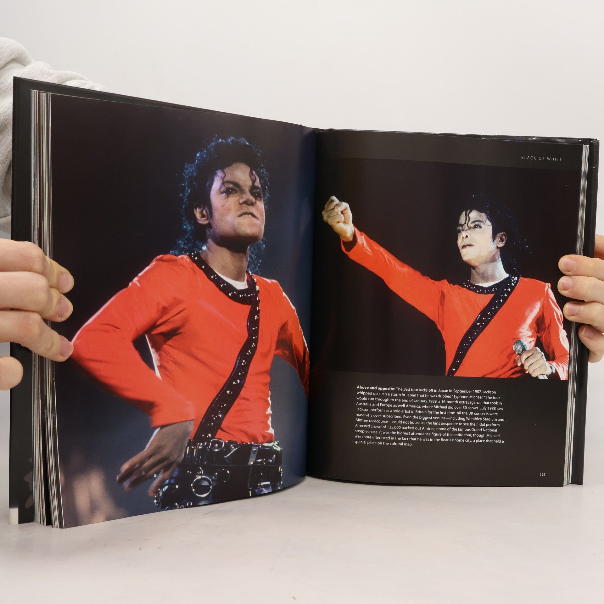 Tim Hill Michael Jackson: The Man In The Mirror 1958-2009