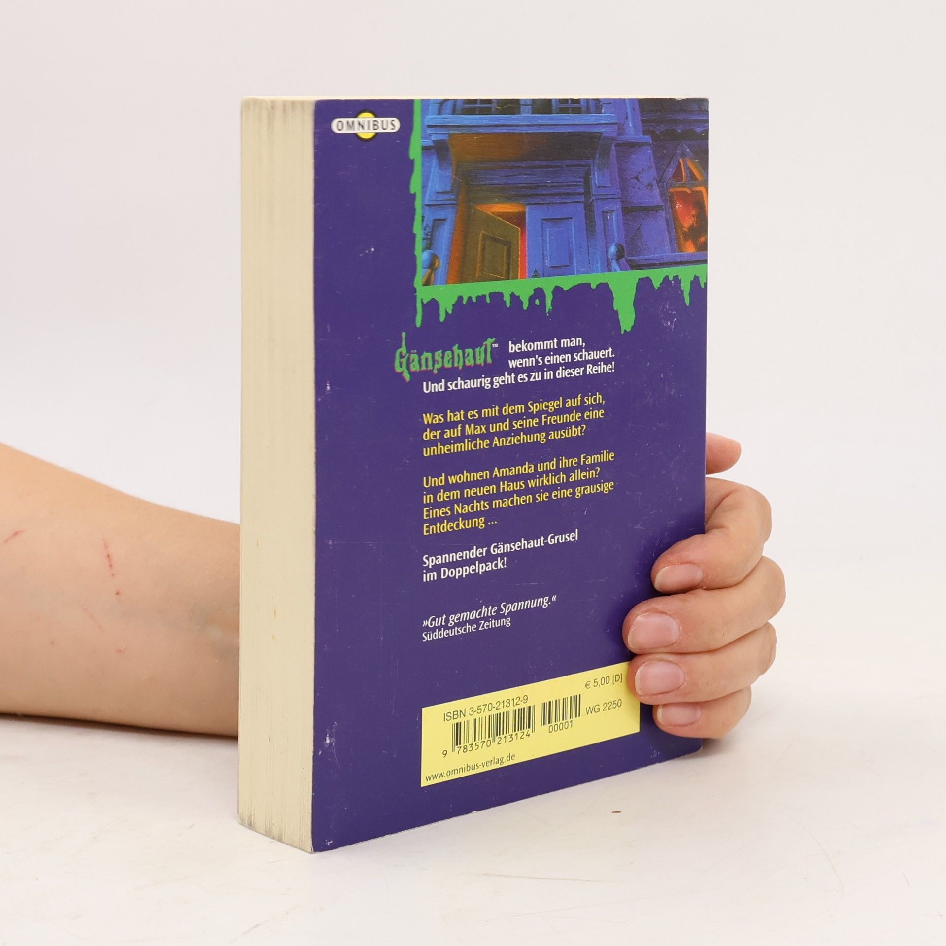 R. L. Stine Gänsehaut. Doppelschocker 1