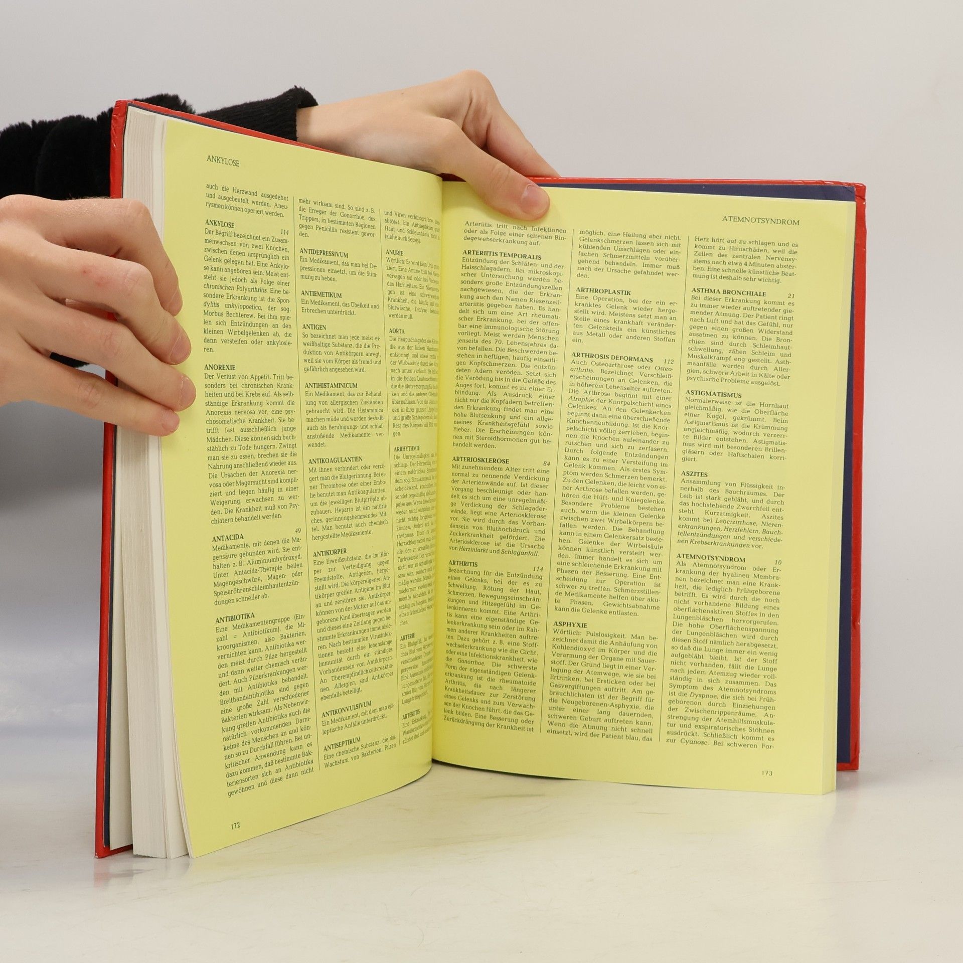 Various authors Das große Familien-Gesundheitsbuch