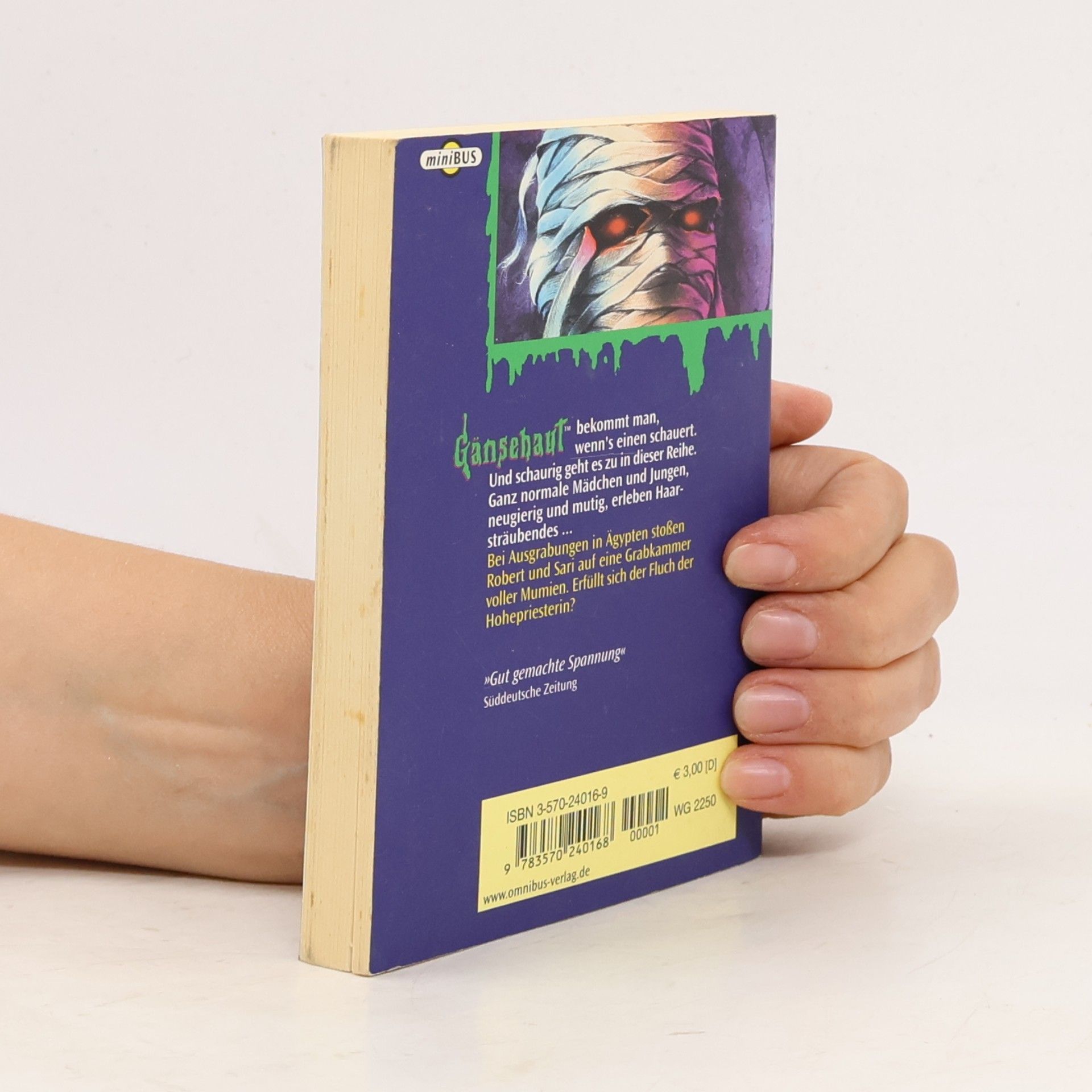 R. L. Stine Gänsehaut: Der Fluch des Mumiengrabs