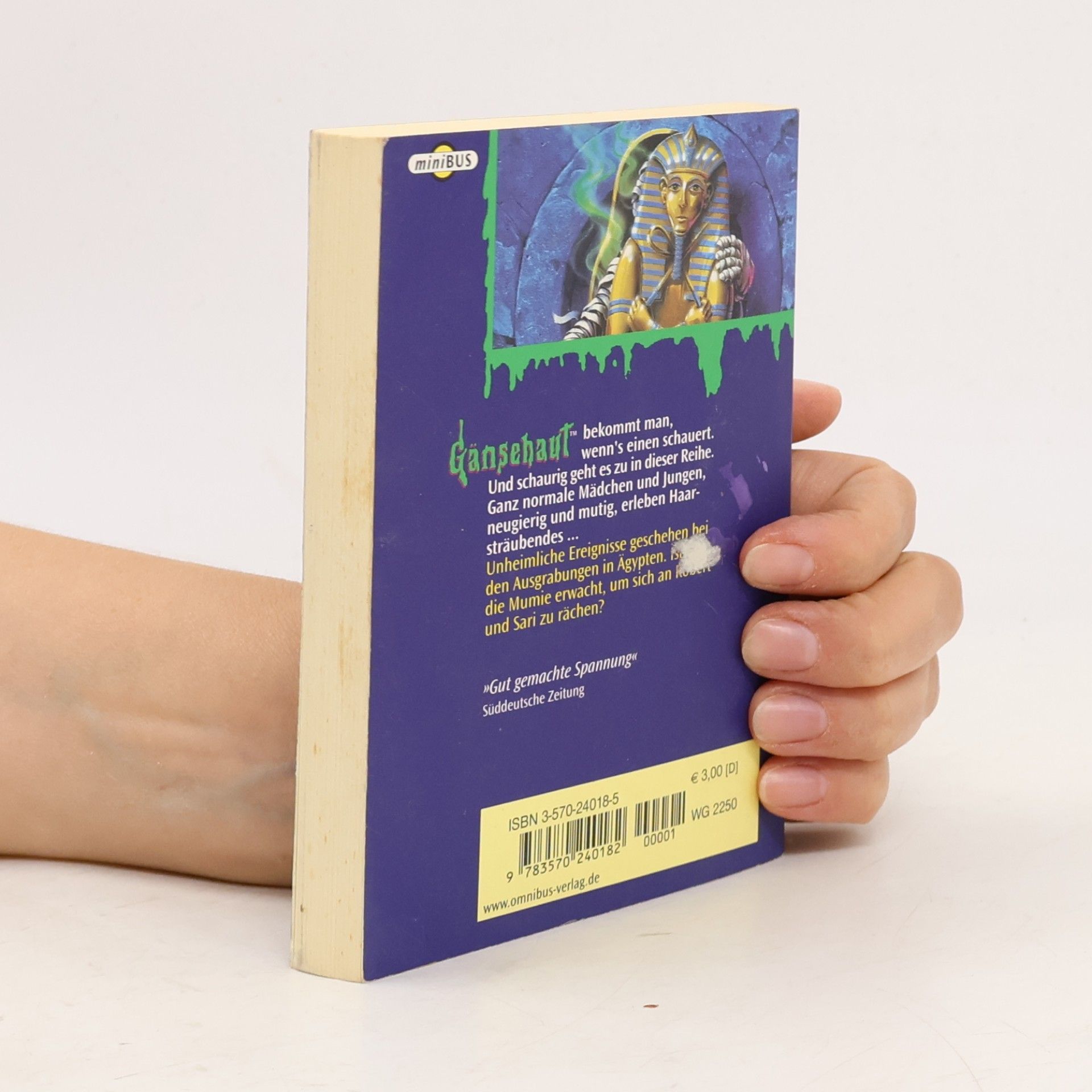 R. L. Stine Gib Acht, die Mumie erwacht