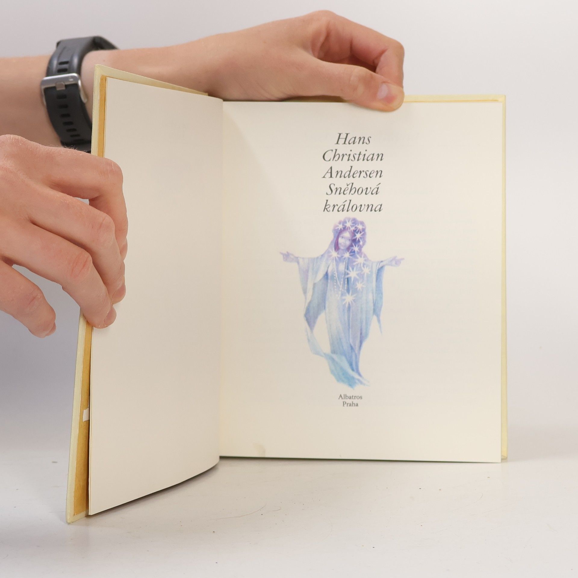 Hans Christian Andersen Sněhová královna