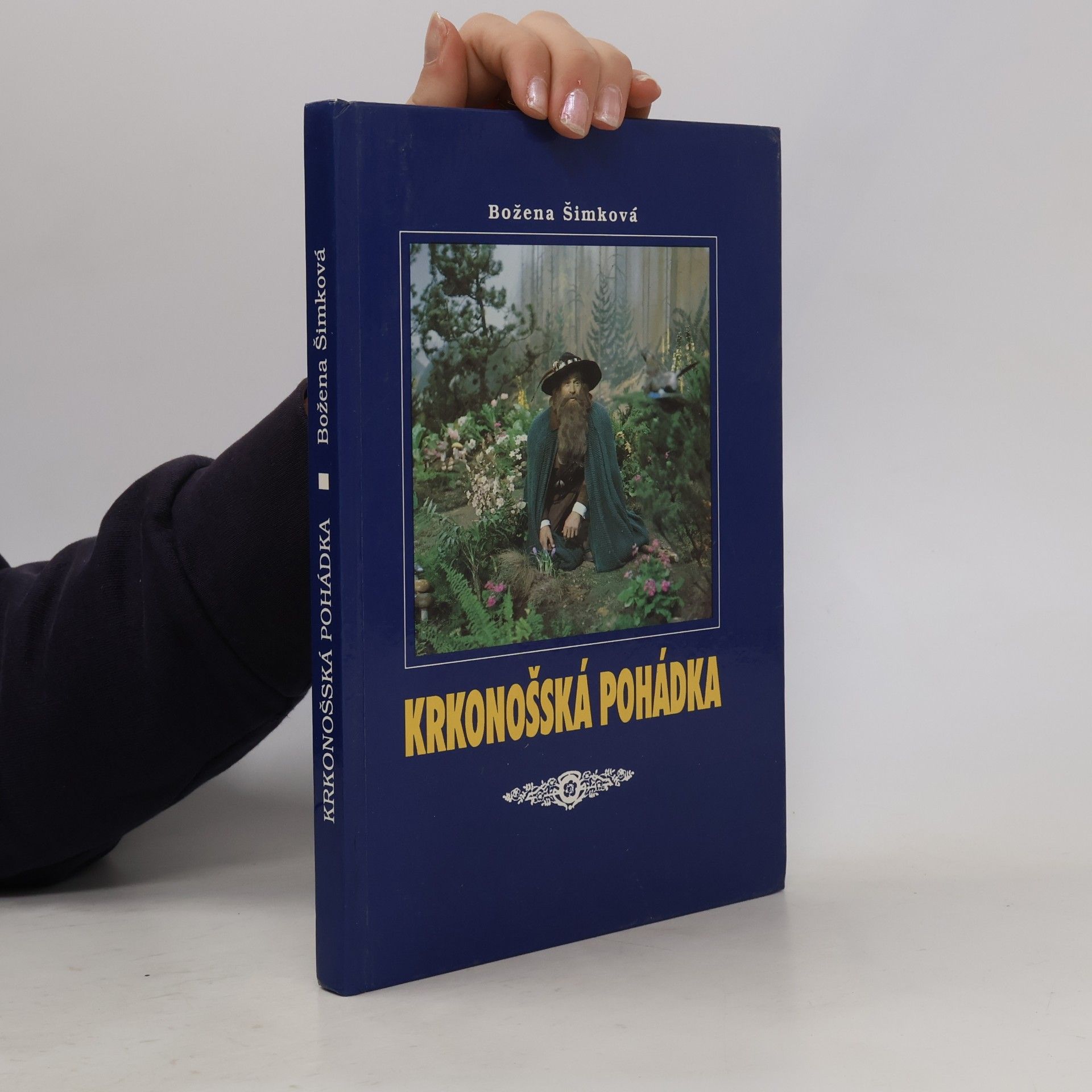 Krkonošská pohádka