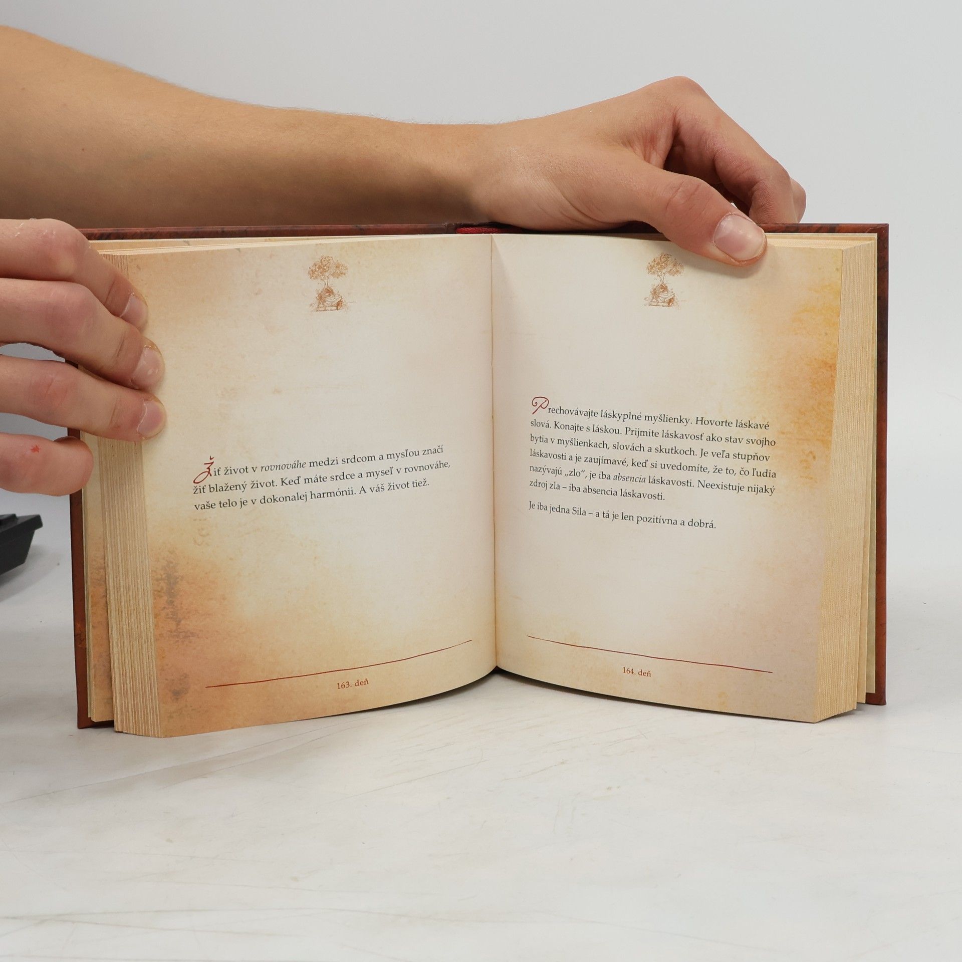 Rhonda Byrne Myšlienky na každý deň