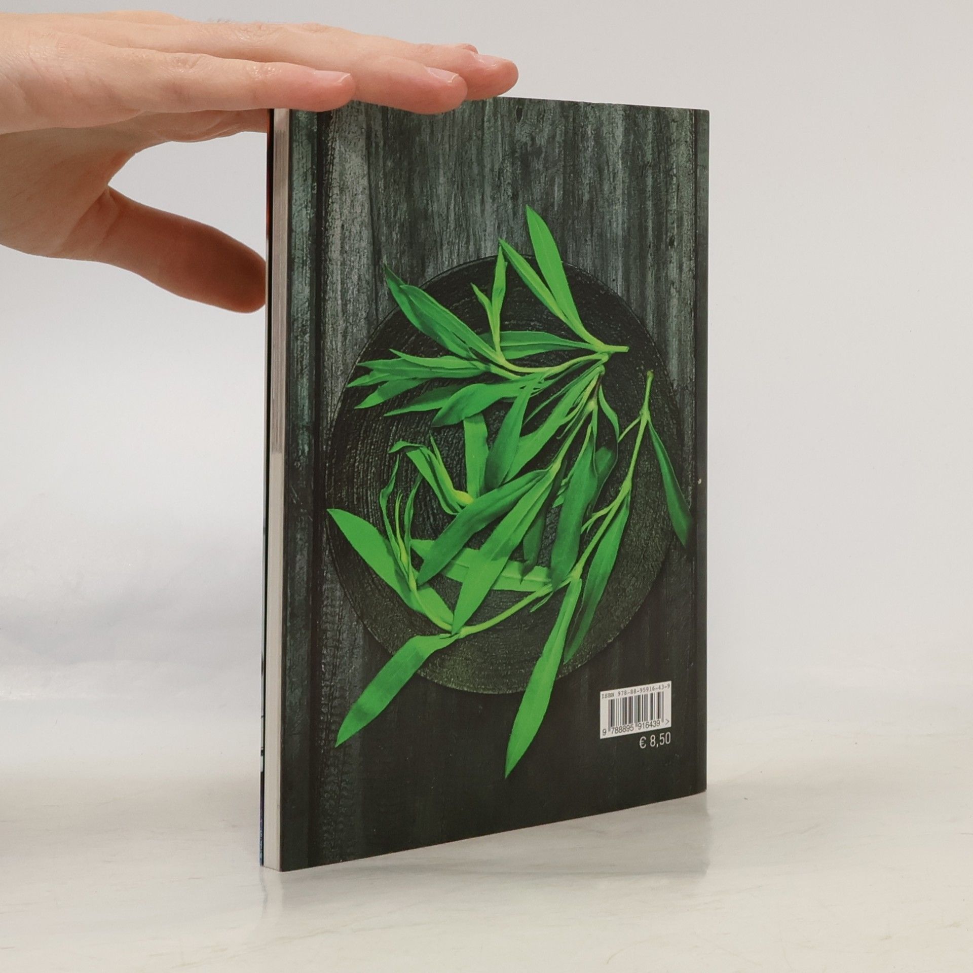 Giulia Nekorkina Sapori Veneti: Le erbe spontanee di primavera