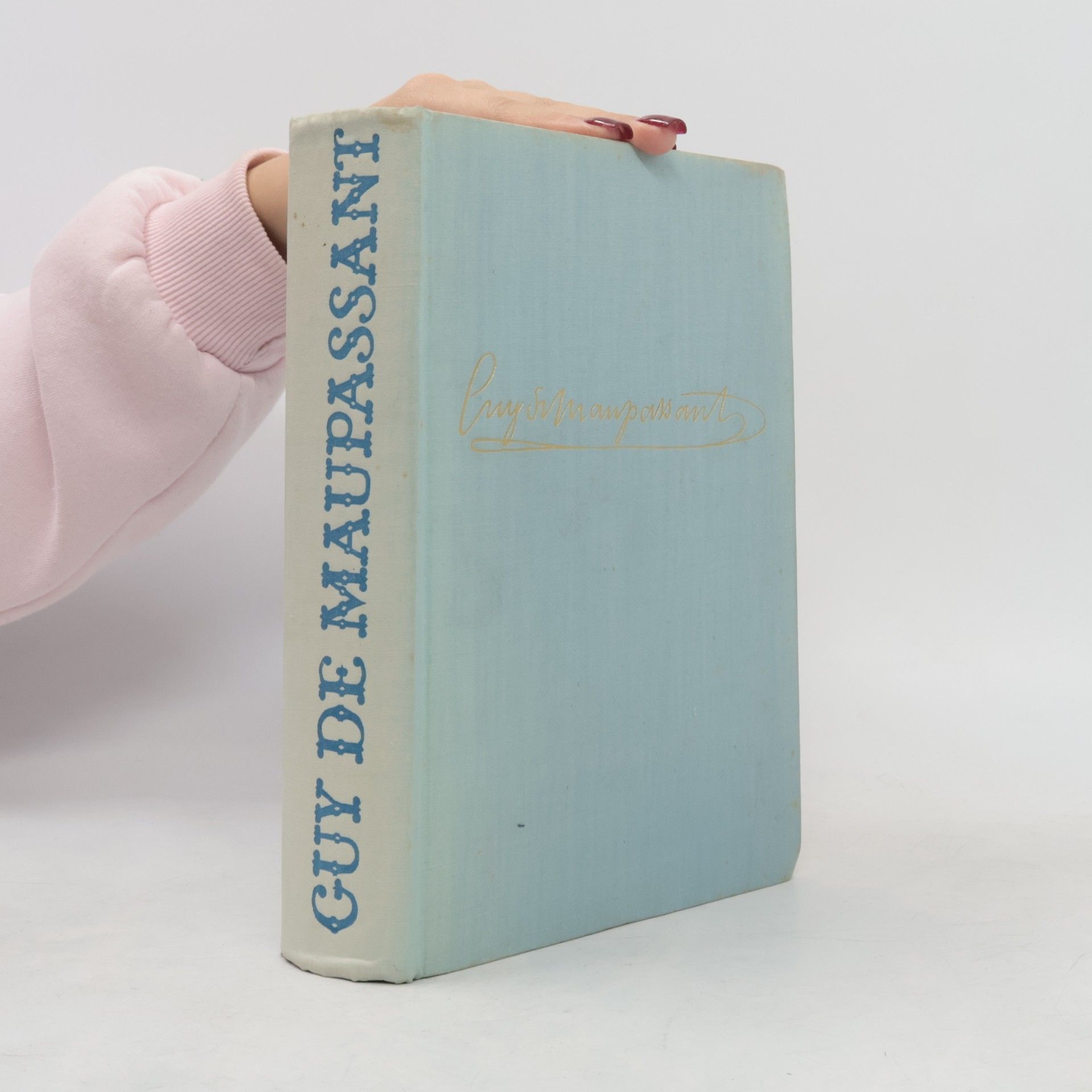 Guy de Maupassant Neděle pařížského měšťáka