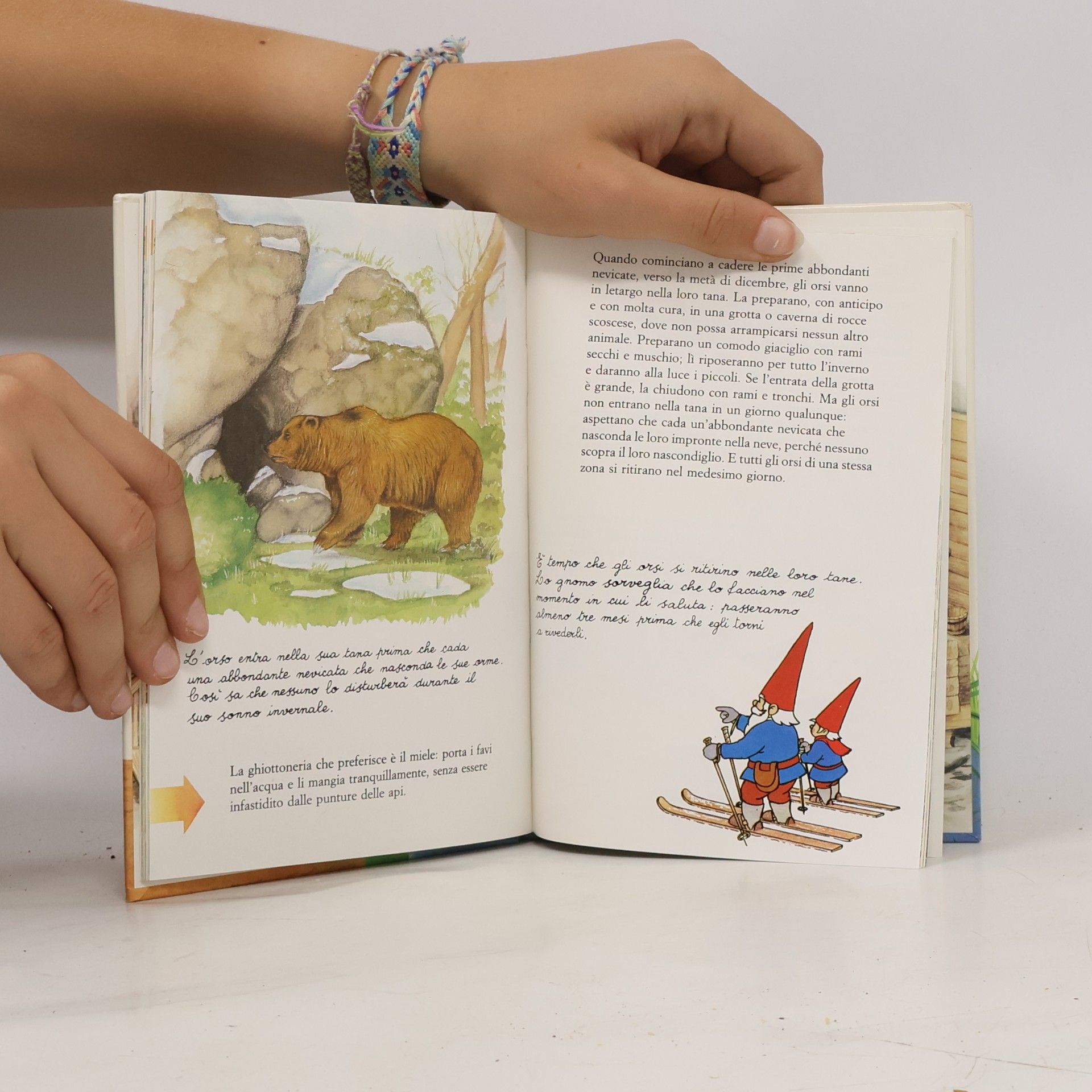 Saro de la Iglesia Il libro segreto degli Gnomi 20