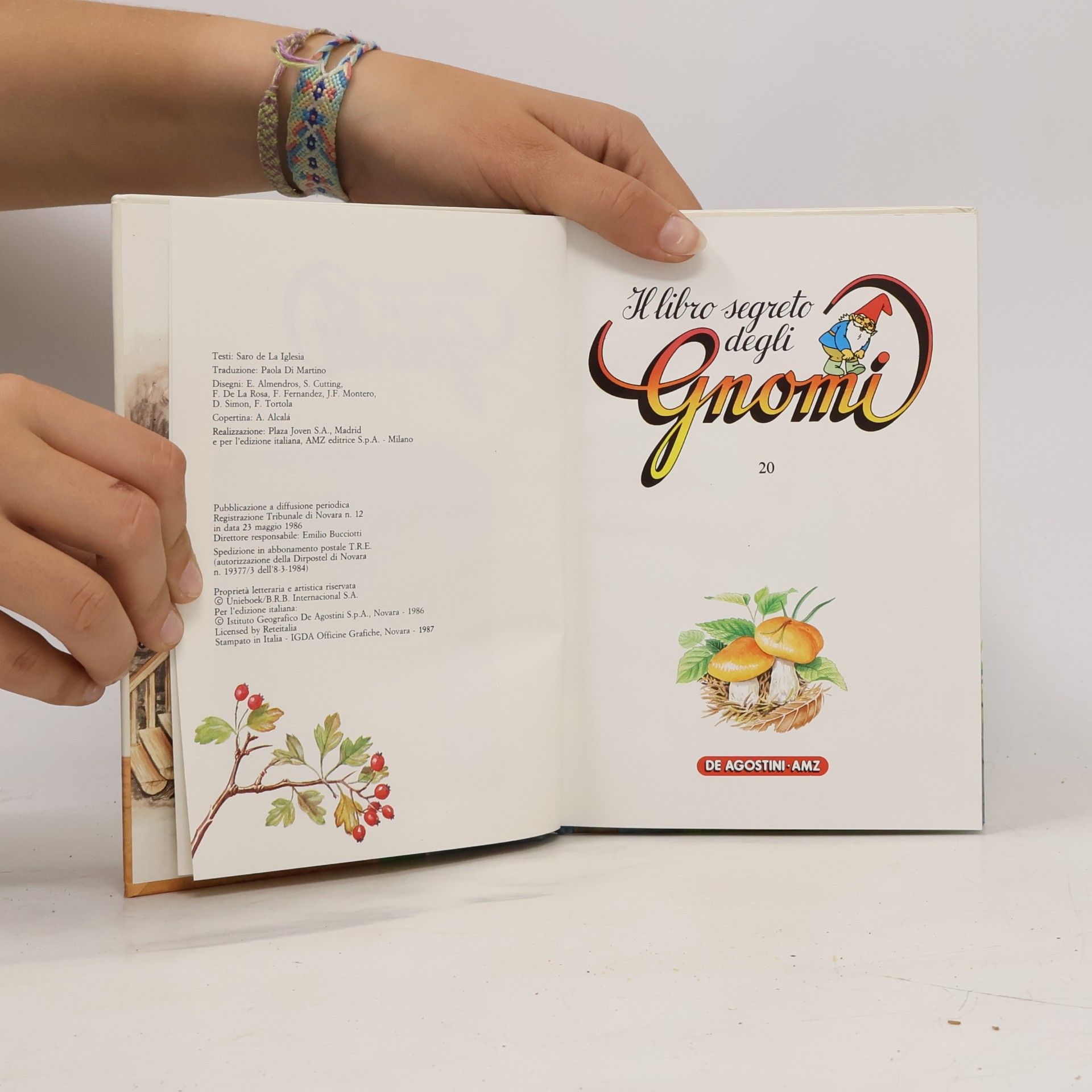 Saro de la Iglesia Il libro segreto degli Gnomi 20