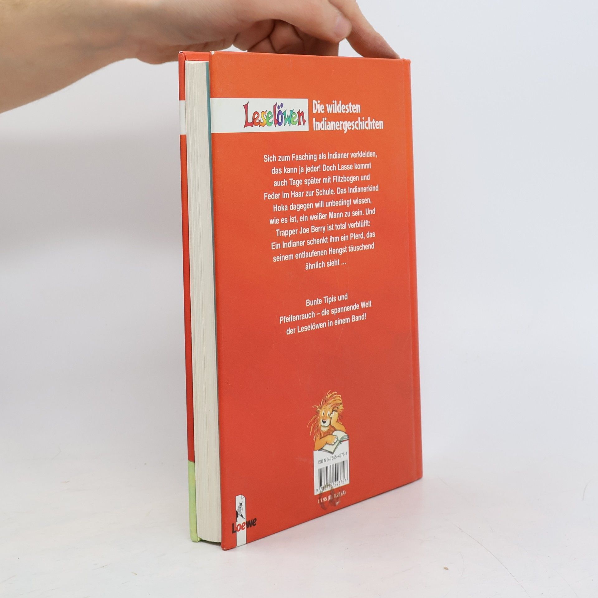 Die wildesten Leselöwen-Indianer-Geschichten