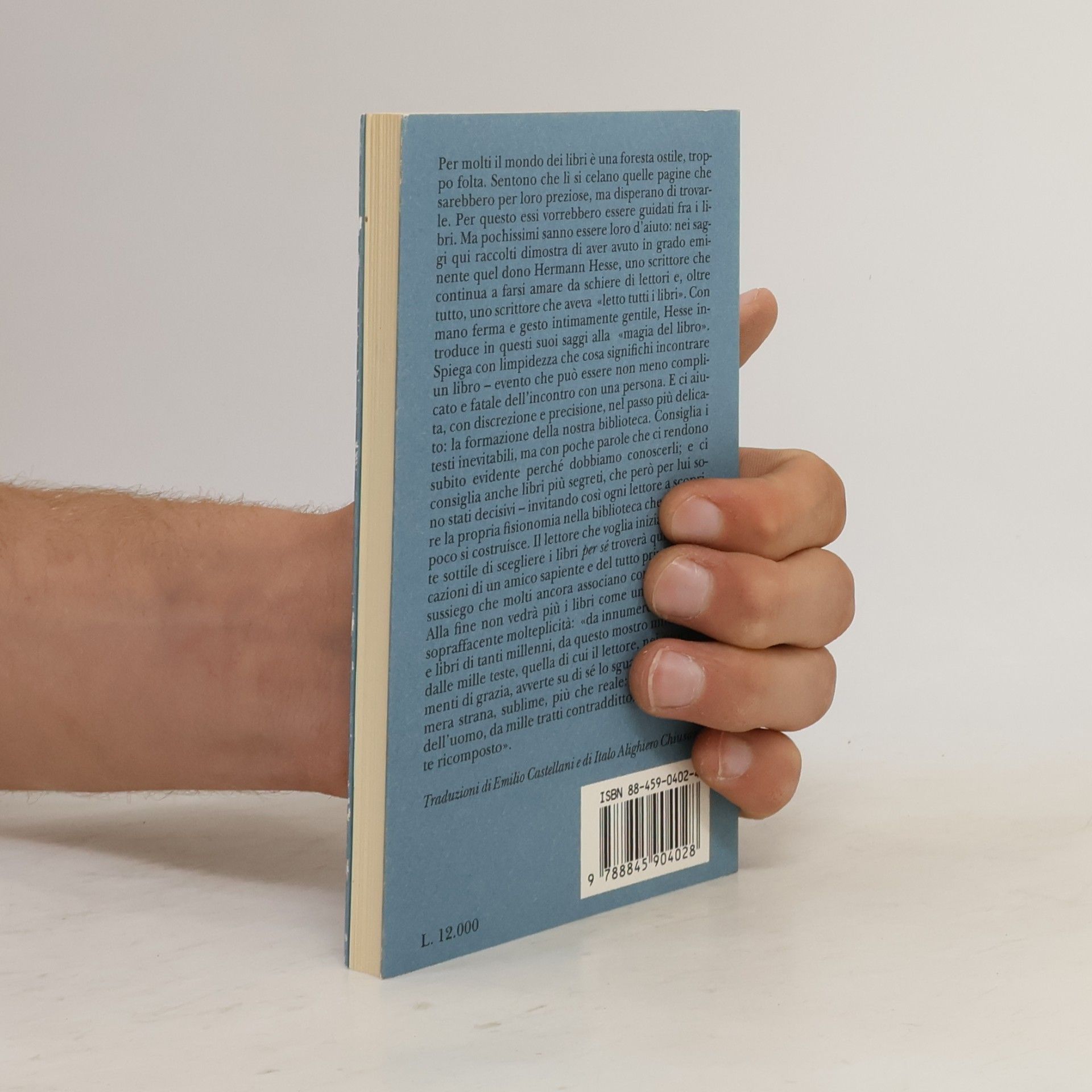 Italo Alighiero Chiusano Piccola Biblioteca - 90: Una biblioteca della letteratura universale