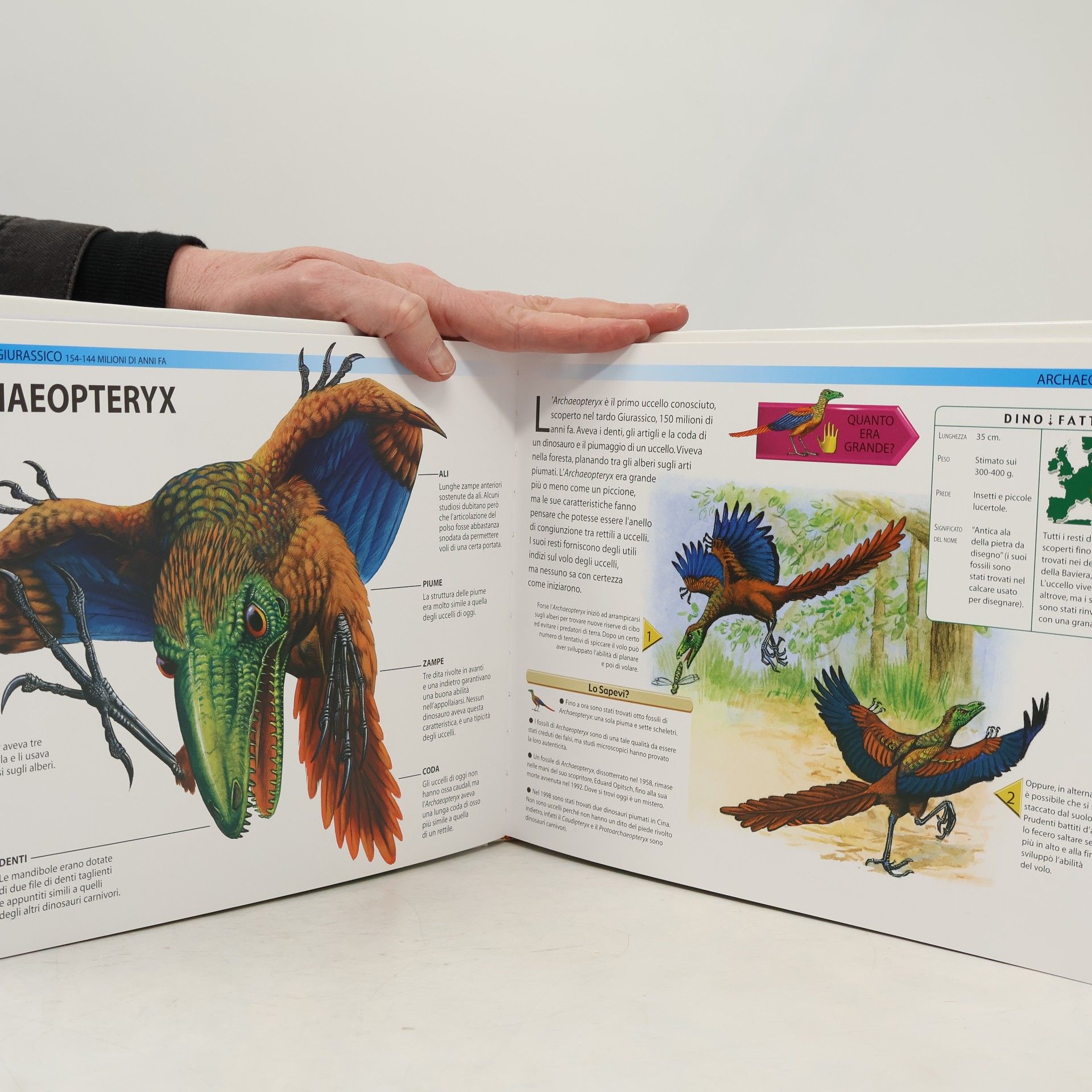 Veronica Ross Dinosauri