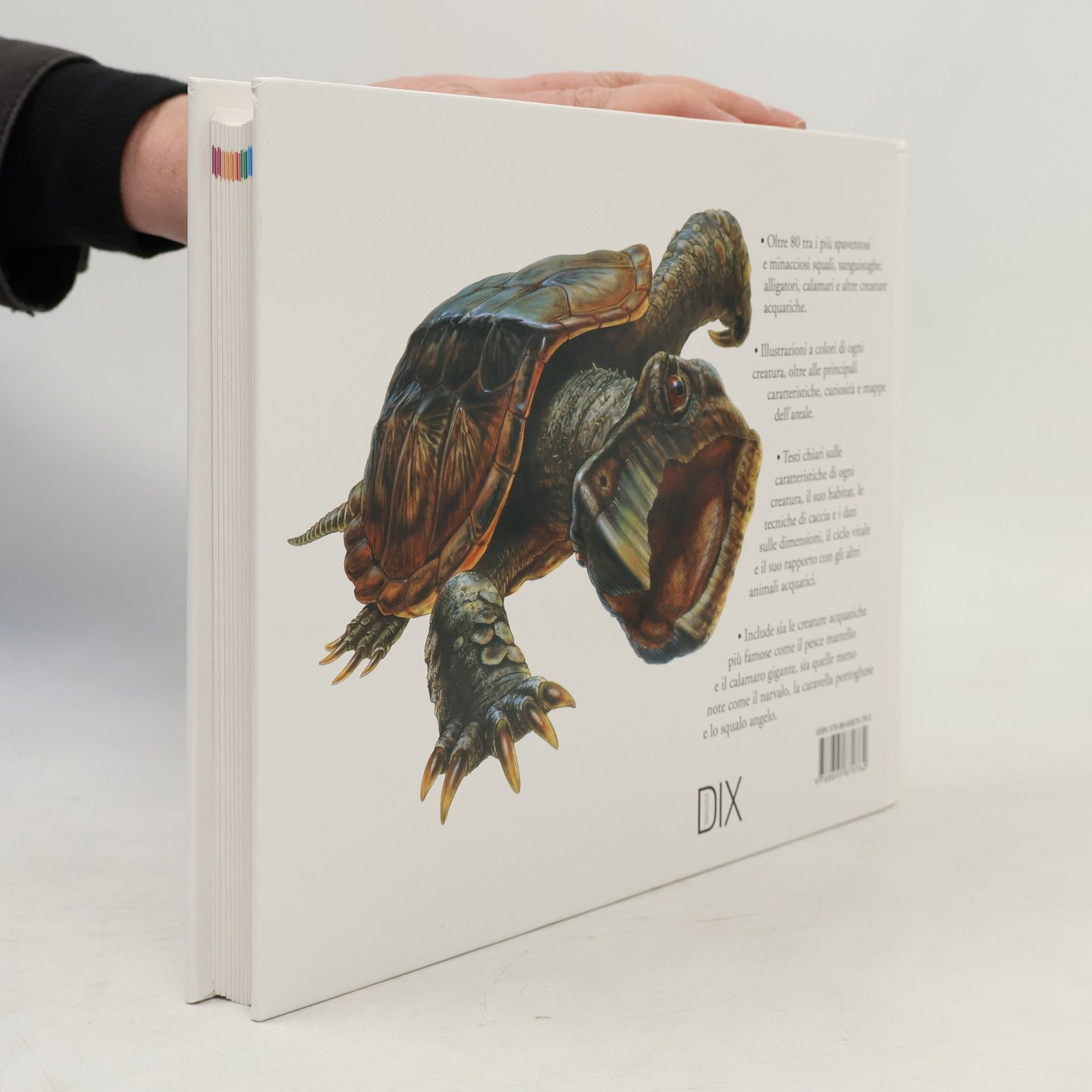 Susan Barraclough Squali e altre creature degli abissi