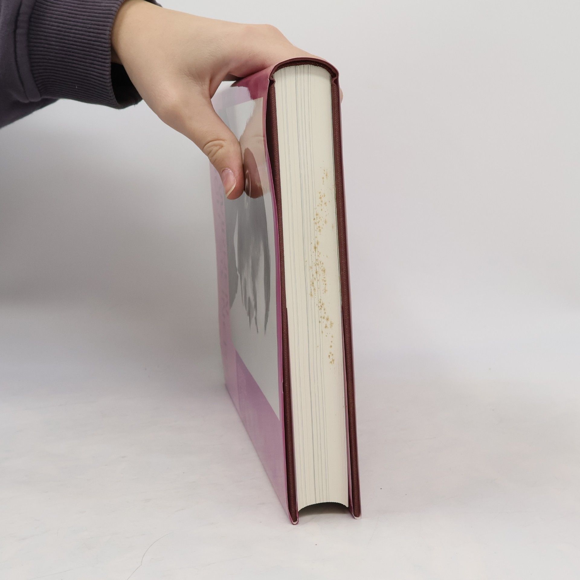 Autorenkollektiv DAS WIRKEN RUDOLF STEINERS