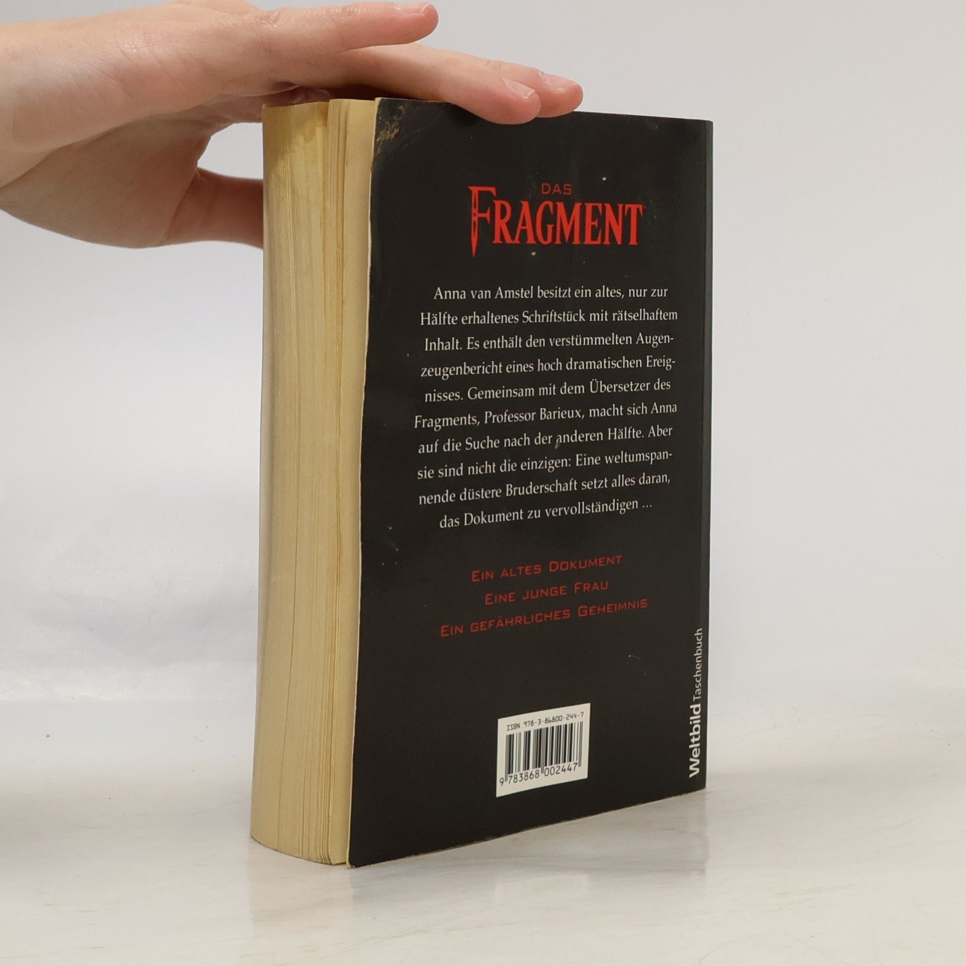 Ton van Mourik Das Fragment