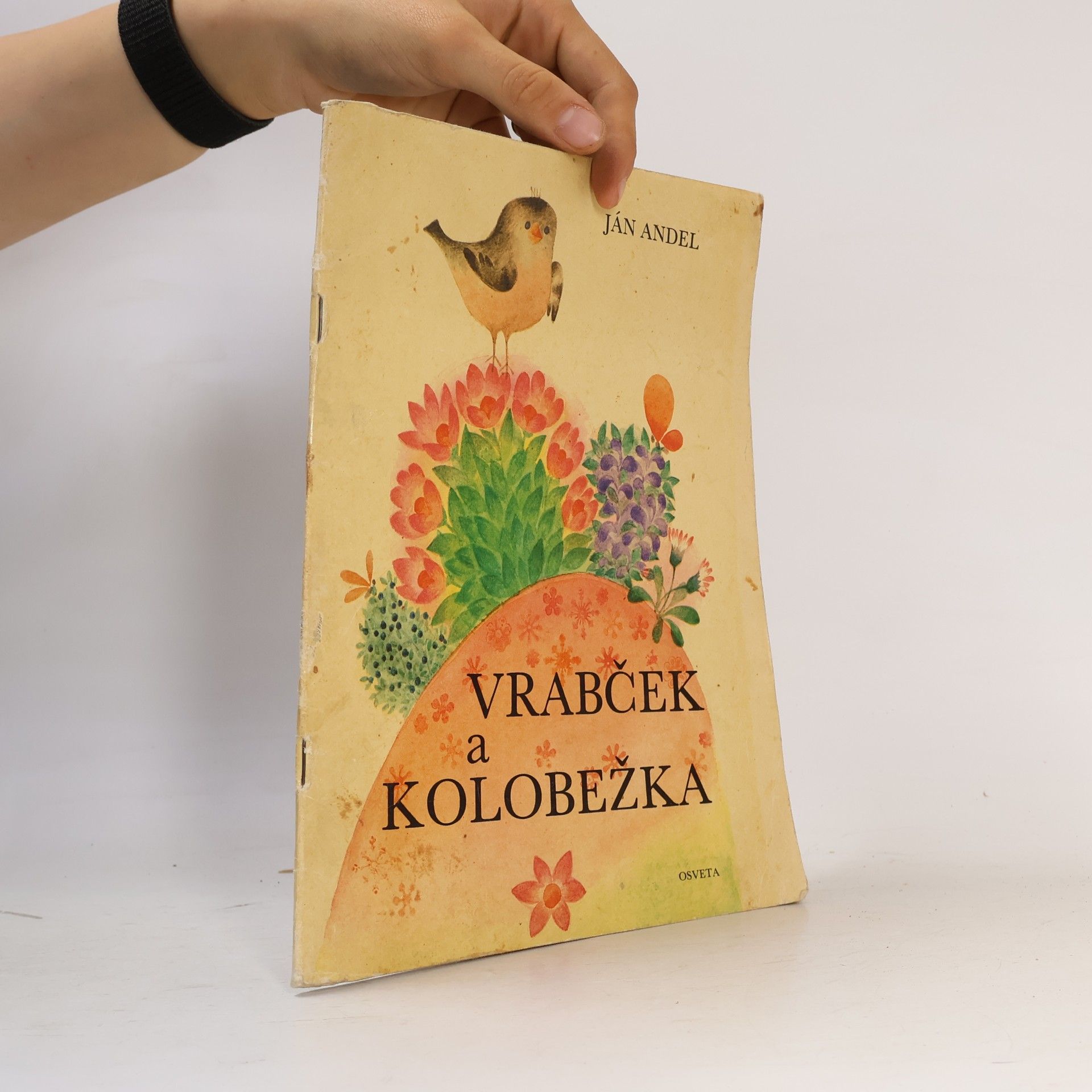 Ján Andel Vrabček a kolobežka