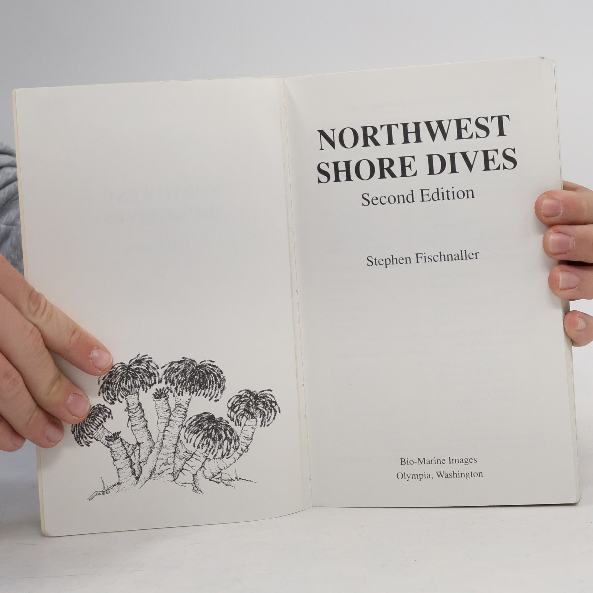 Stephen Fischnaller Northwest Shore Dives