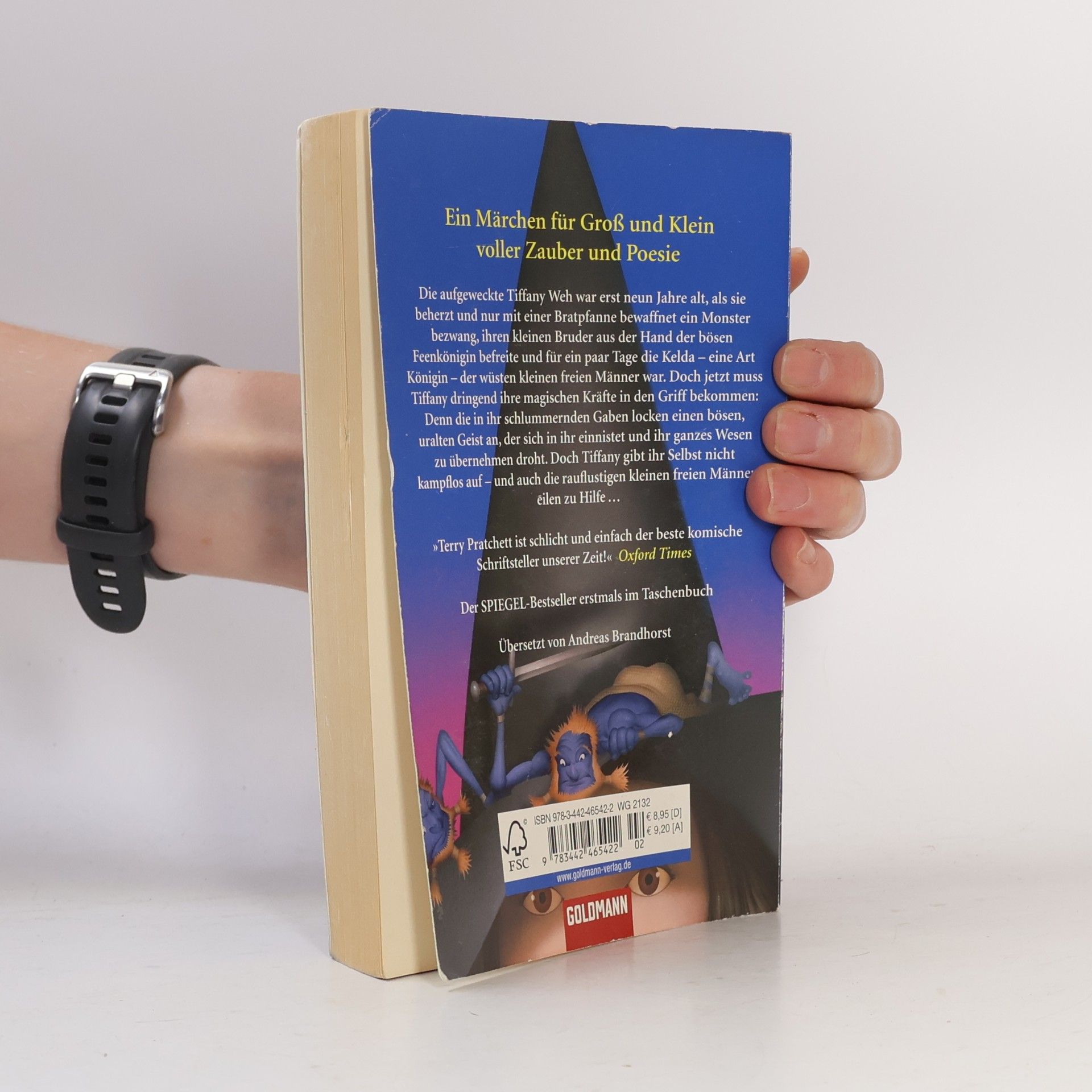 Terry Pratchett Ein Hut voller Sterne
