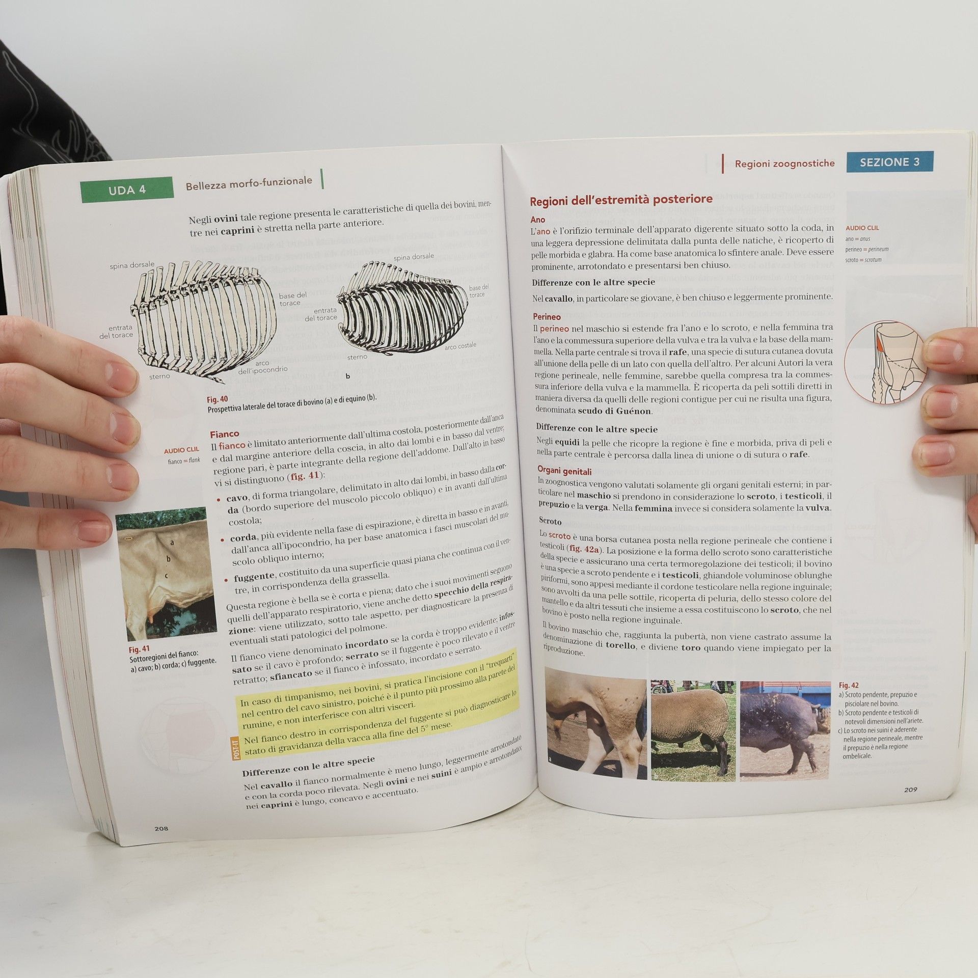 Alba Vegetti Produzioni animali. Per gli Ist. tecnici agrari. Con e-book. Con espansione online