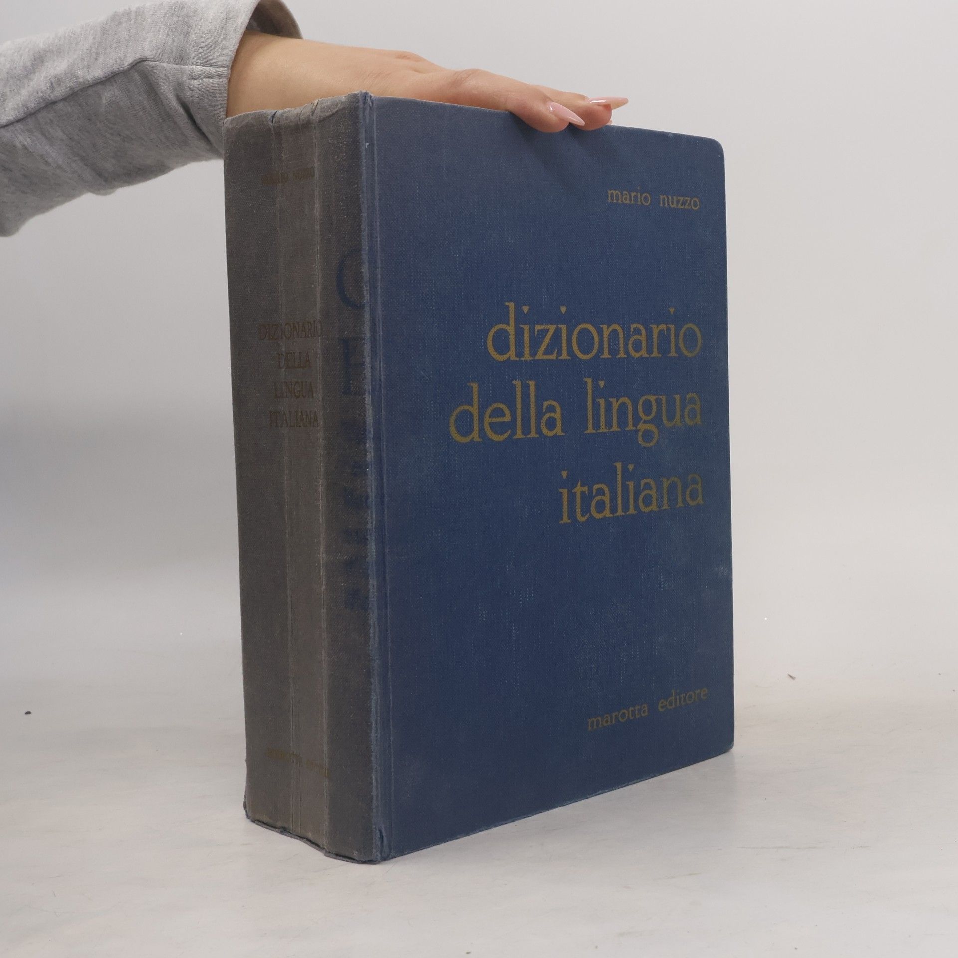 Dino Di Santo Dizionario della lingua italiana