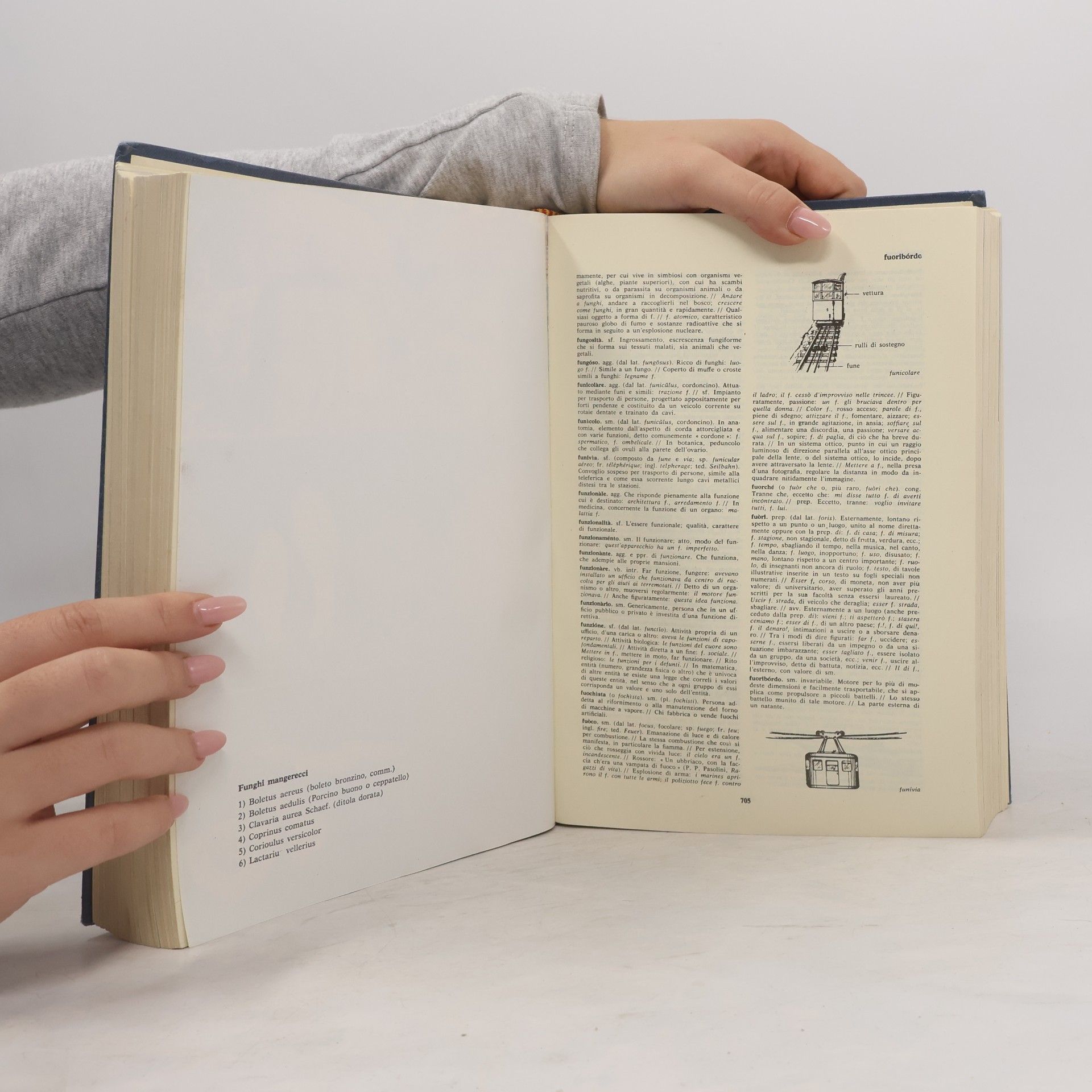 Mario Nuzzo Dizionario della lingua italiana