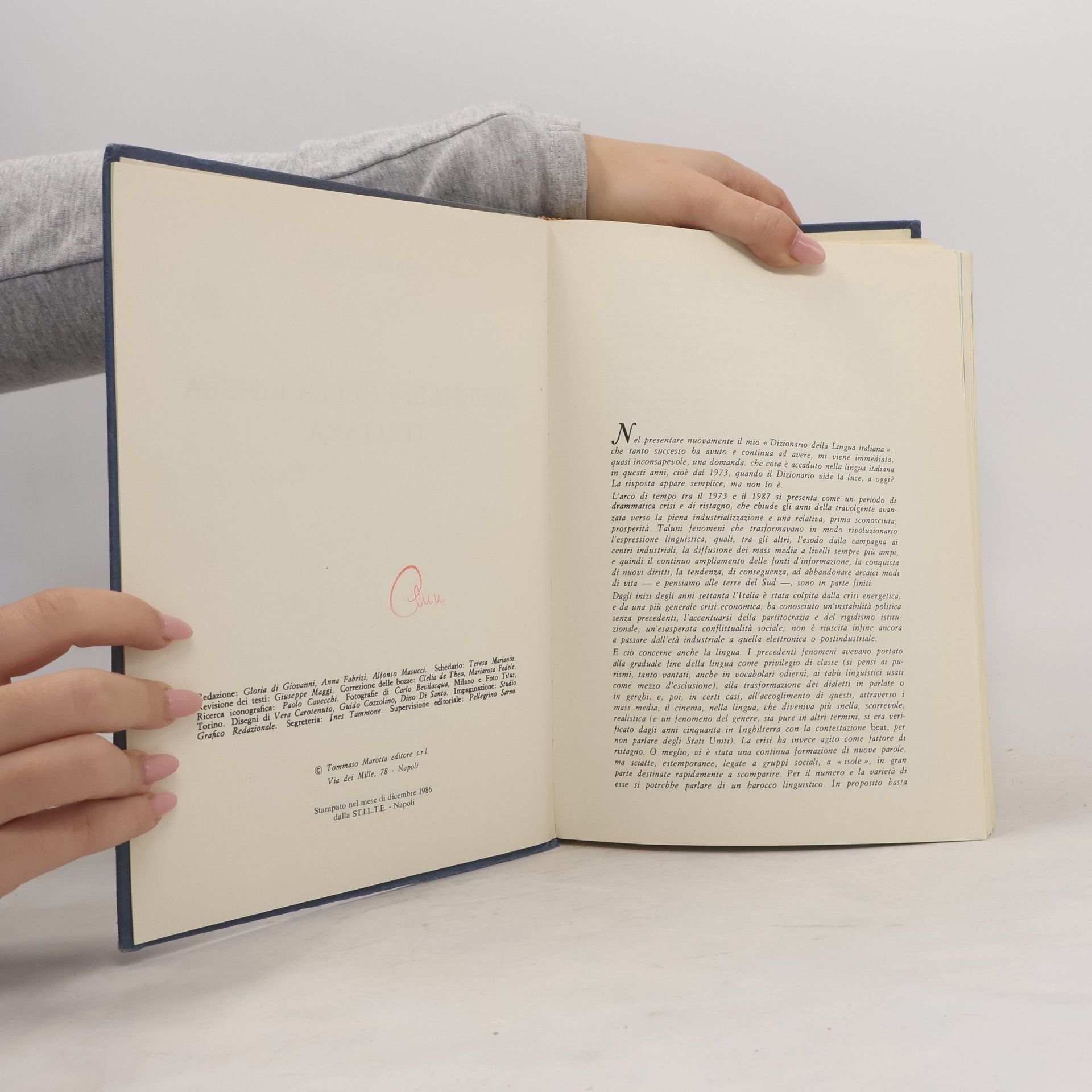 Mario Nuzzo Dizionario della lingua italiana