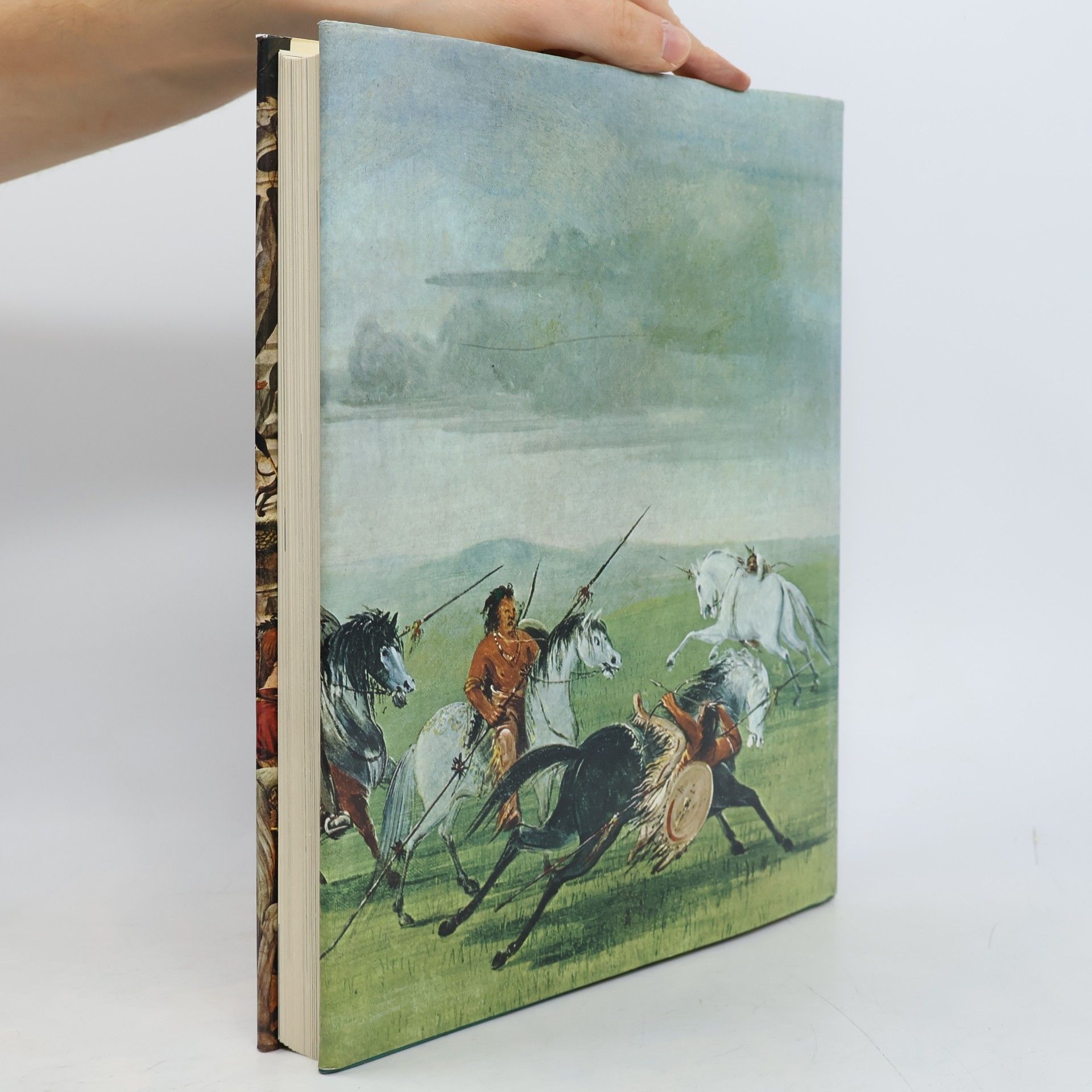 Herbert Bruns Ullstein-Vogelbuch