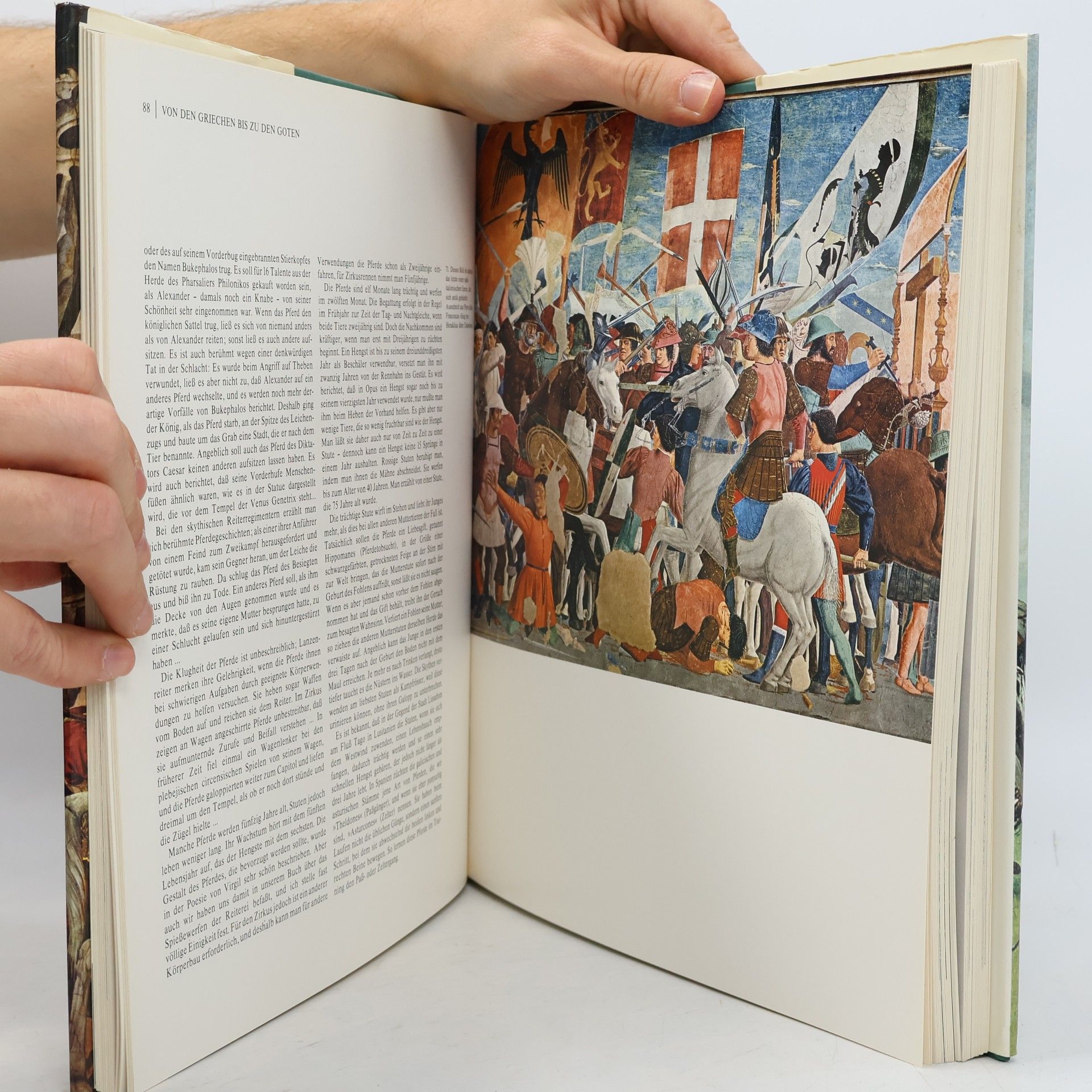 Herbert Bruns Ullstein-Vogelbuch