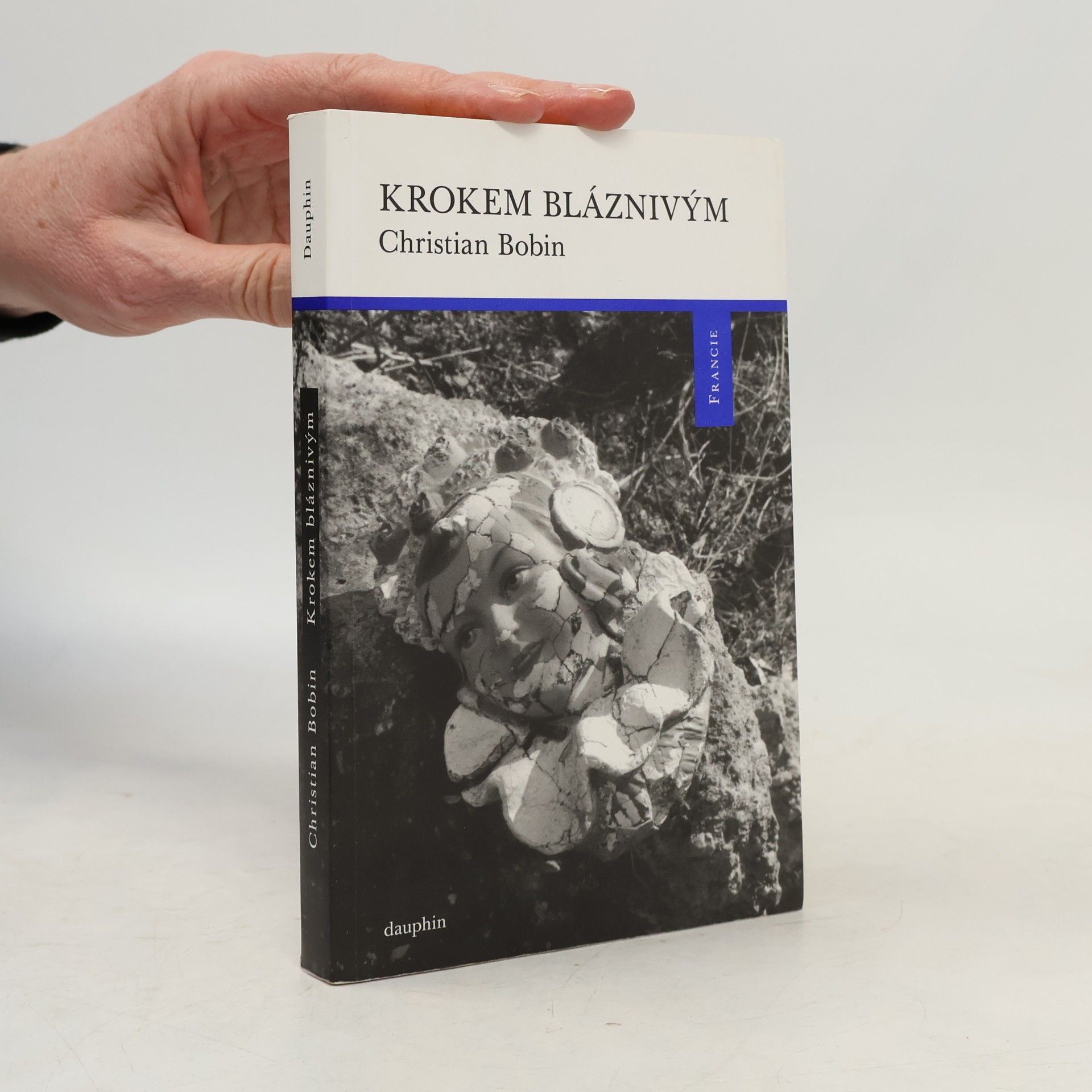 Christian Bobin Krokem bláznivým