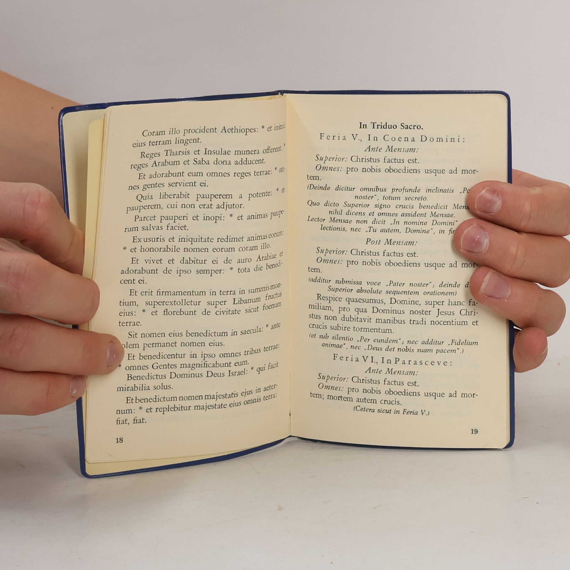 Autorenkollektiv Manuale parvum pro Fratribus Ord. Serv. B. M. V. Provinciae Tyrolensis