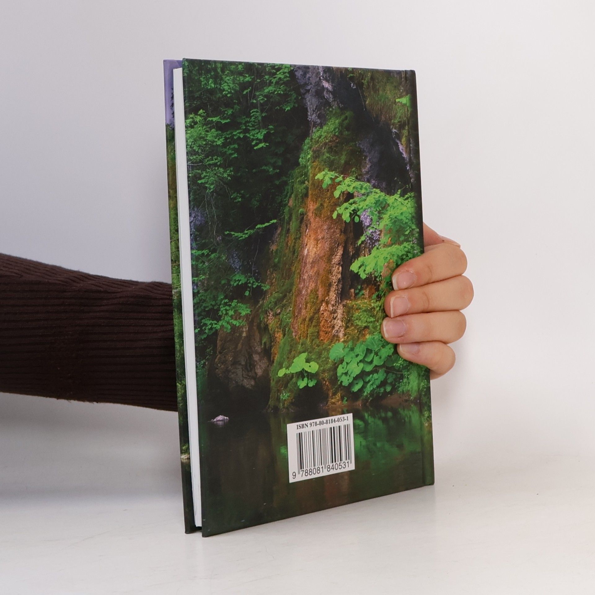 Autorenkollektiv Prielom Hornádu v Slovenskom raji