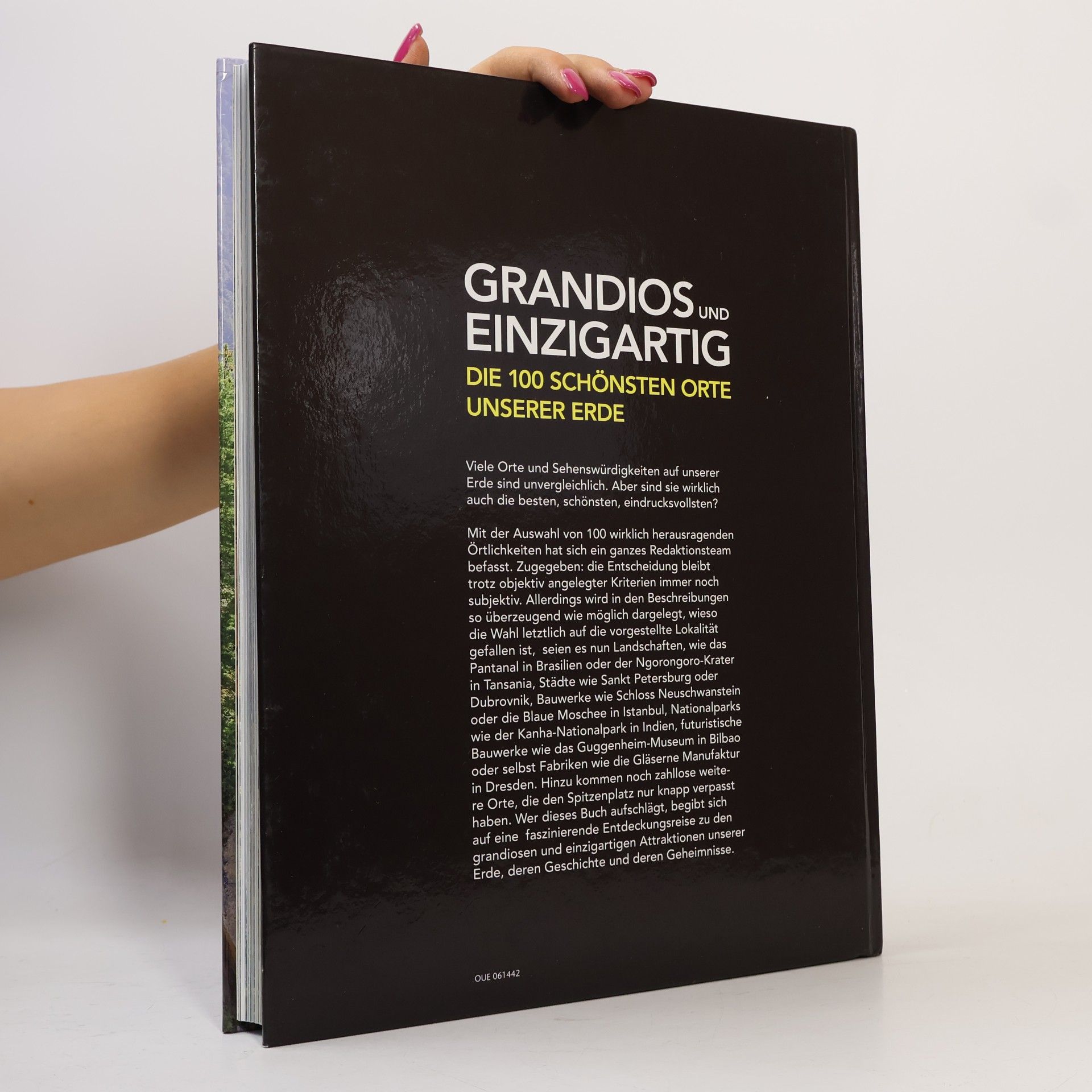 Olaf Rappold Grandios und einzigartig