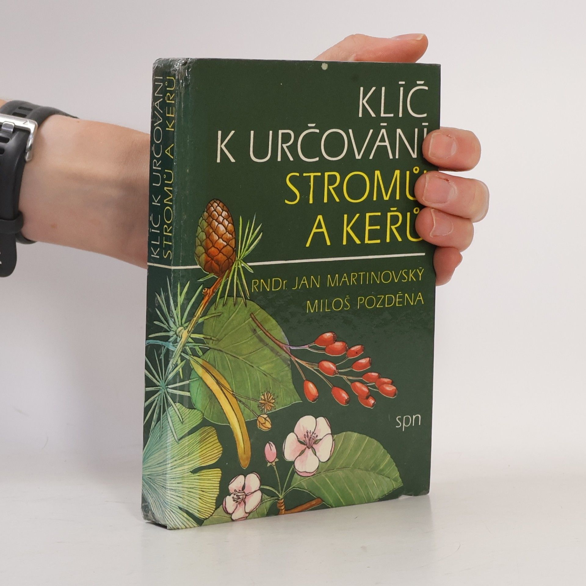 Klíč k určování stromů a keřů