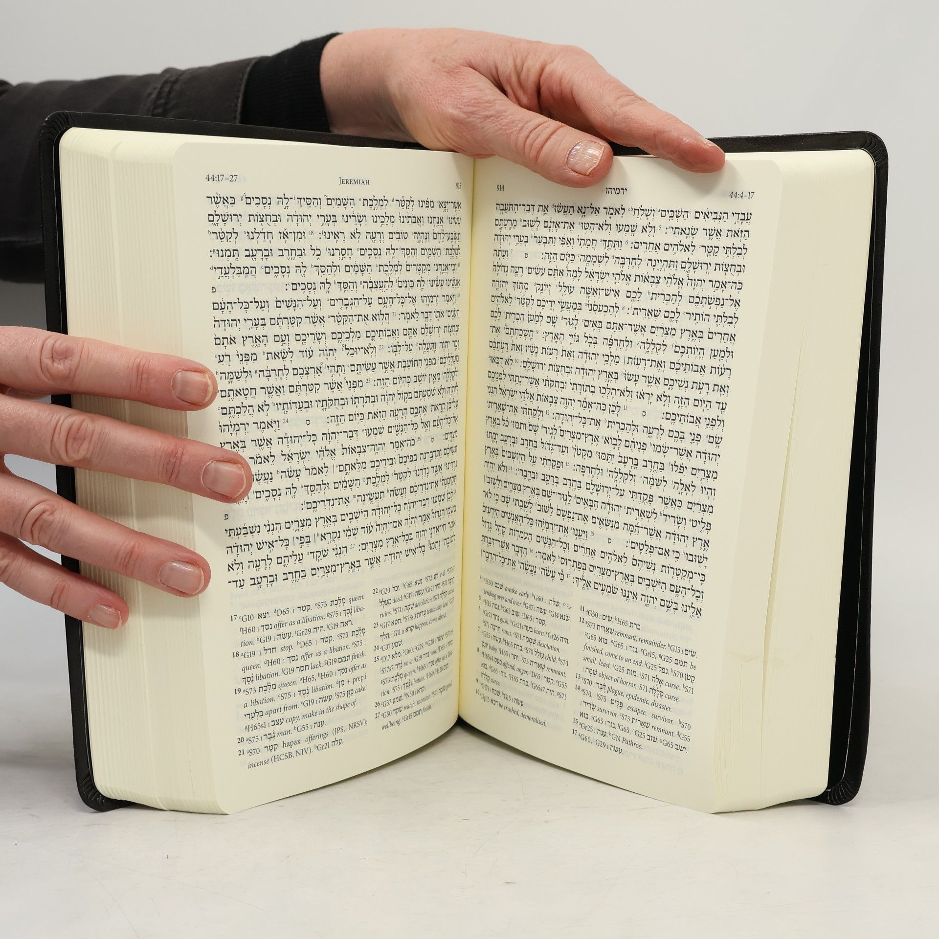 Adrian Schenker Biblia Hebraica Stuttgartensia