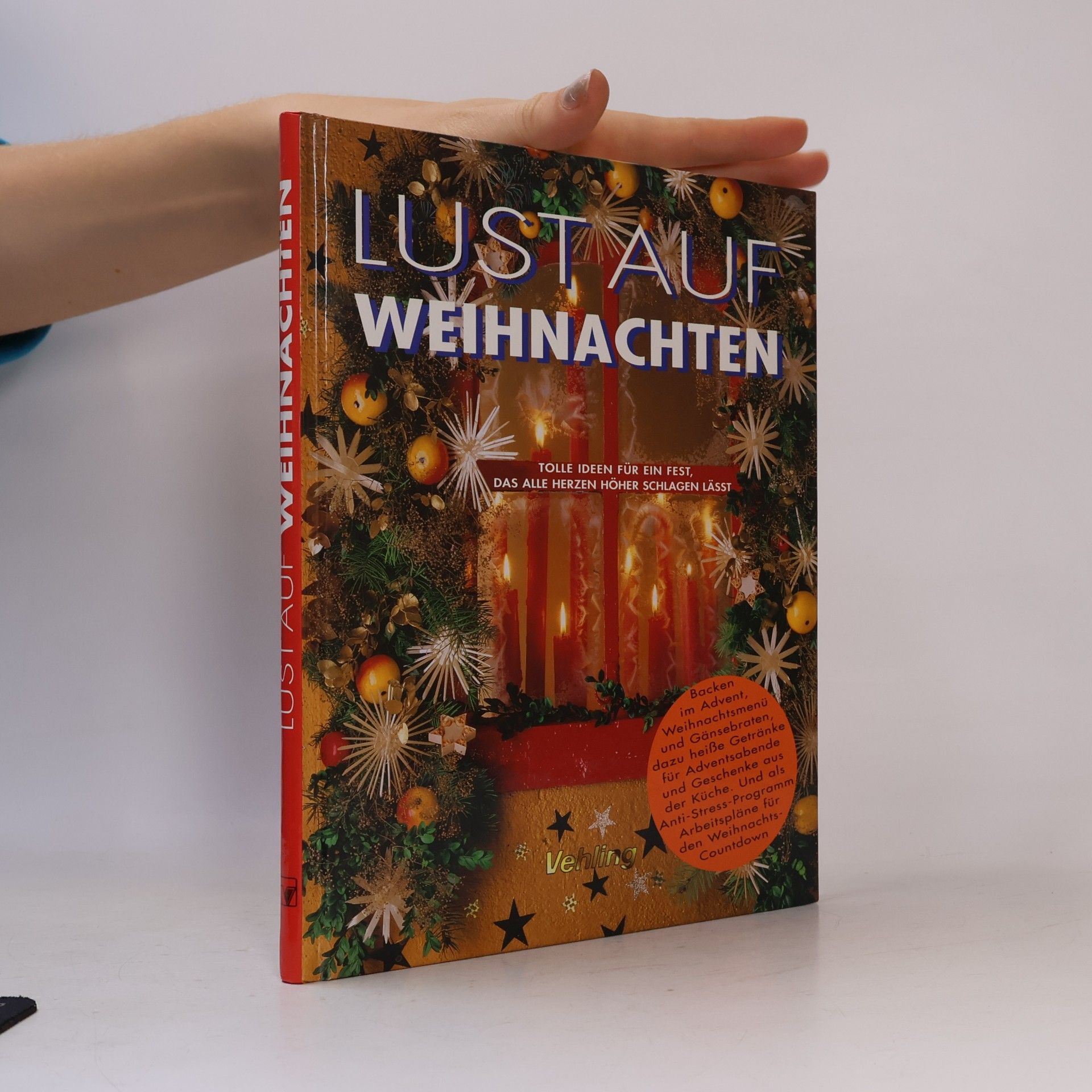 Kolektiv autorů Lust auf Weihnachten