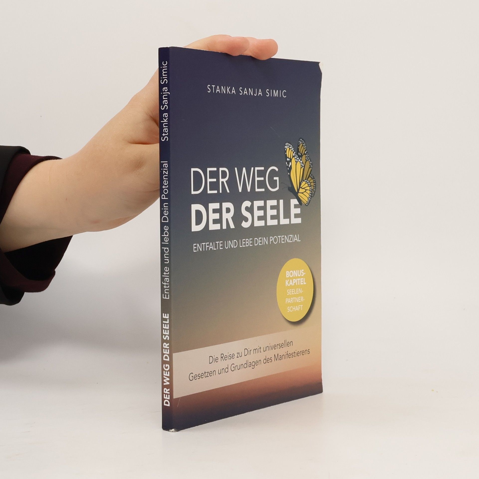 Stanka Sanja Simic Der Weg der Seele