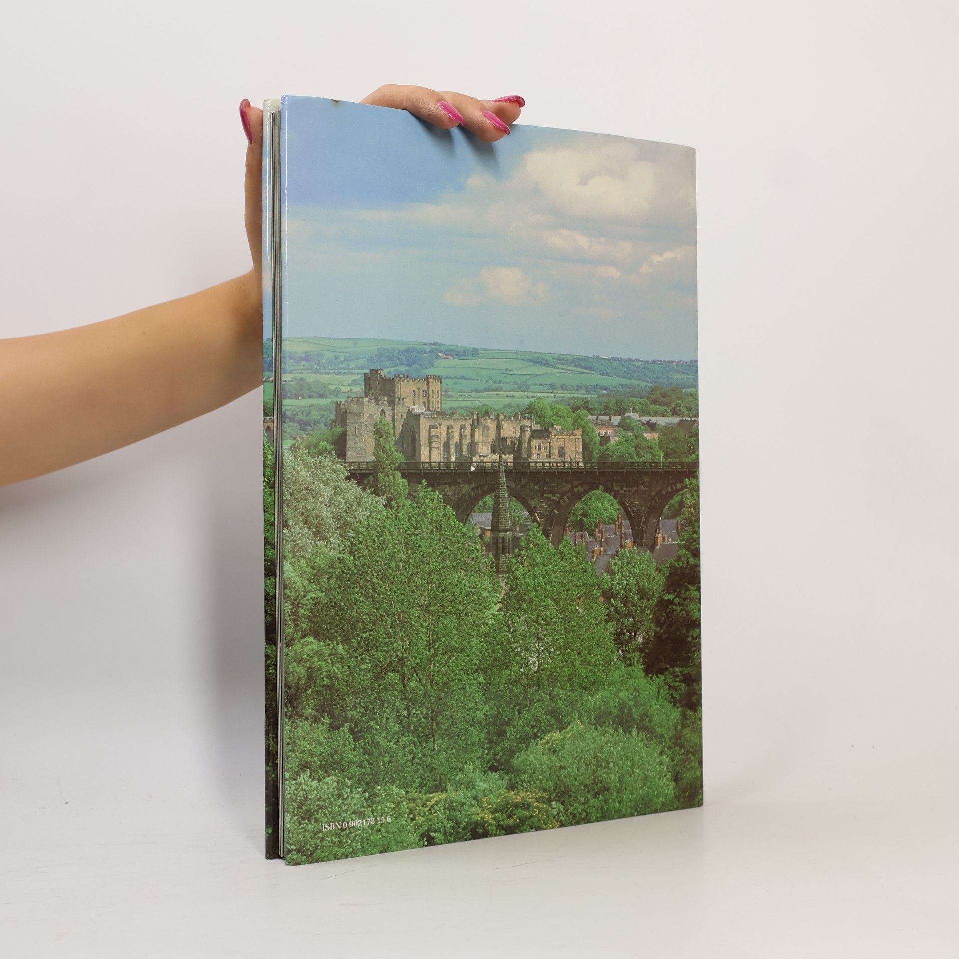 James Wilson The Durham Book