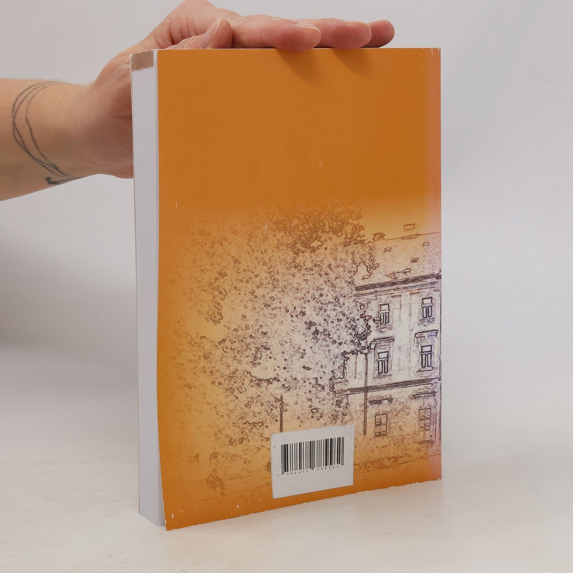 Collectif d'auteurs Ročenka 2010. Vojenský historický archiv